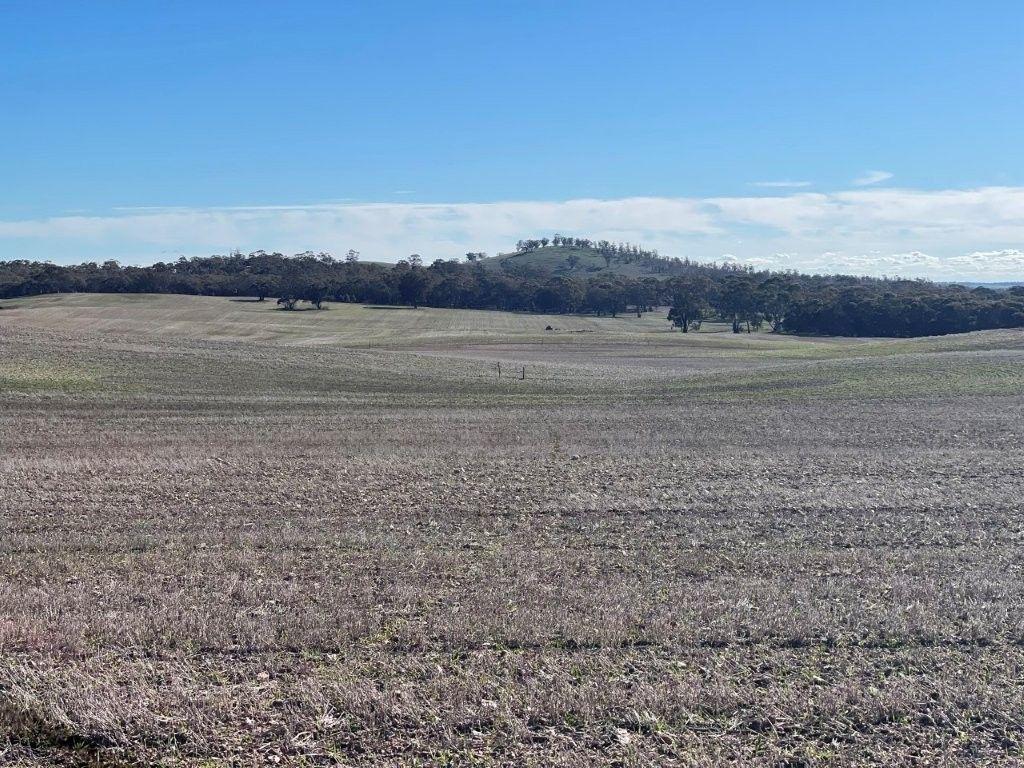 Property for Sale: Wedderburn, VIC 3518, VIC, 3518