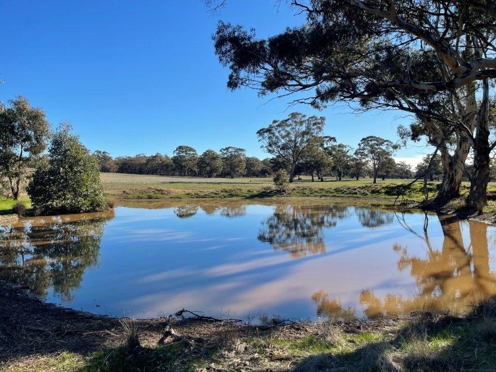 Property for Sale: Wedderburn, VIC 3518, VIC, 3518