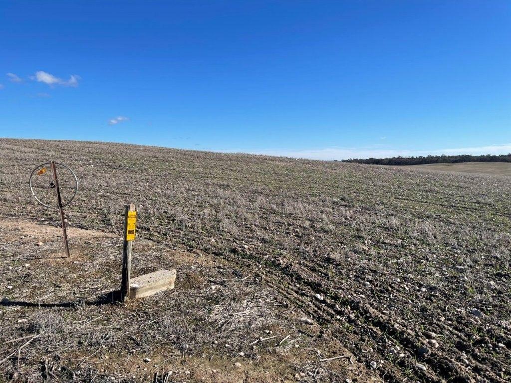 Property for Sale: Wedderburn, VIC 3518, VIC, 3518
