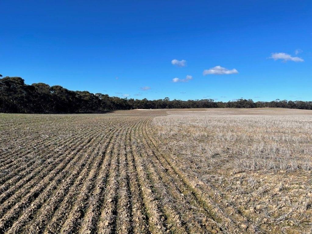 Property for Sale: Wedderburn, VIC 3518, VIC, 3518