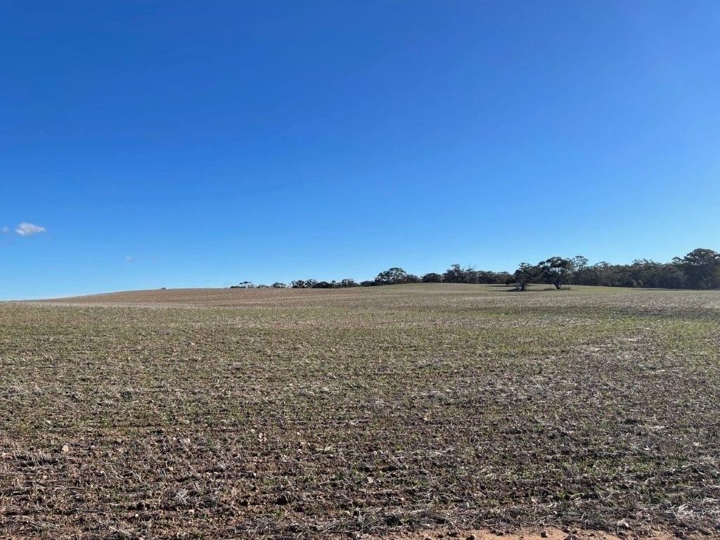 Property for Sale: Wedderburn, VIC 3518, VIC, 3518