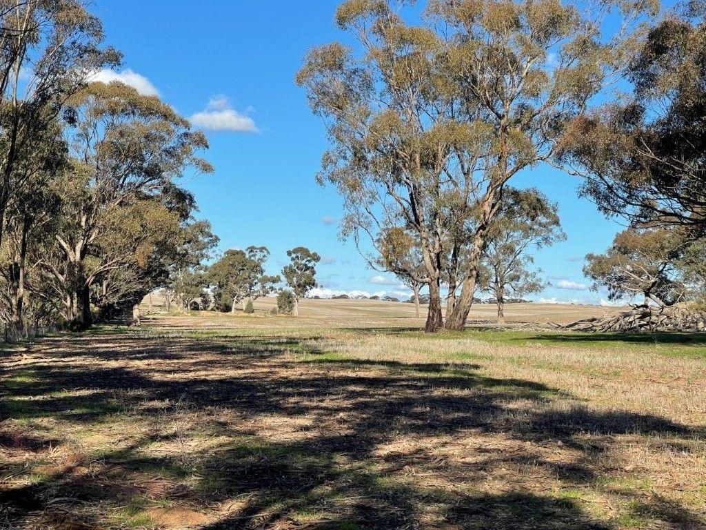 Property for Sale: Wedderburn, VIC 3518, VIC, 3518