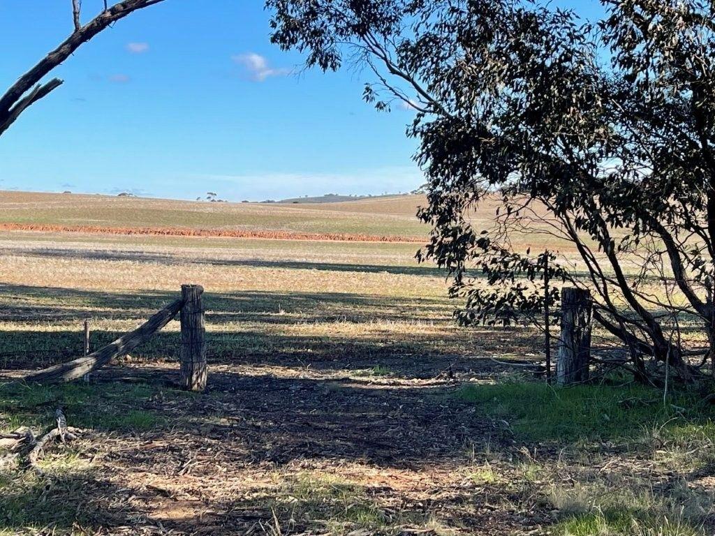 Property for Sale: Wedderburn, VIC 3518, VIC, 3518