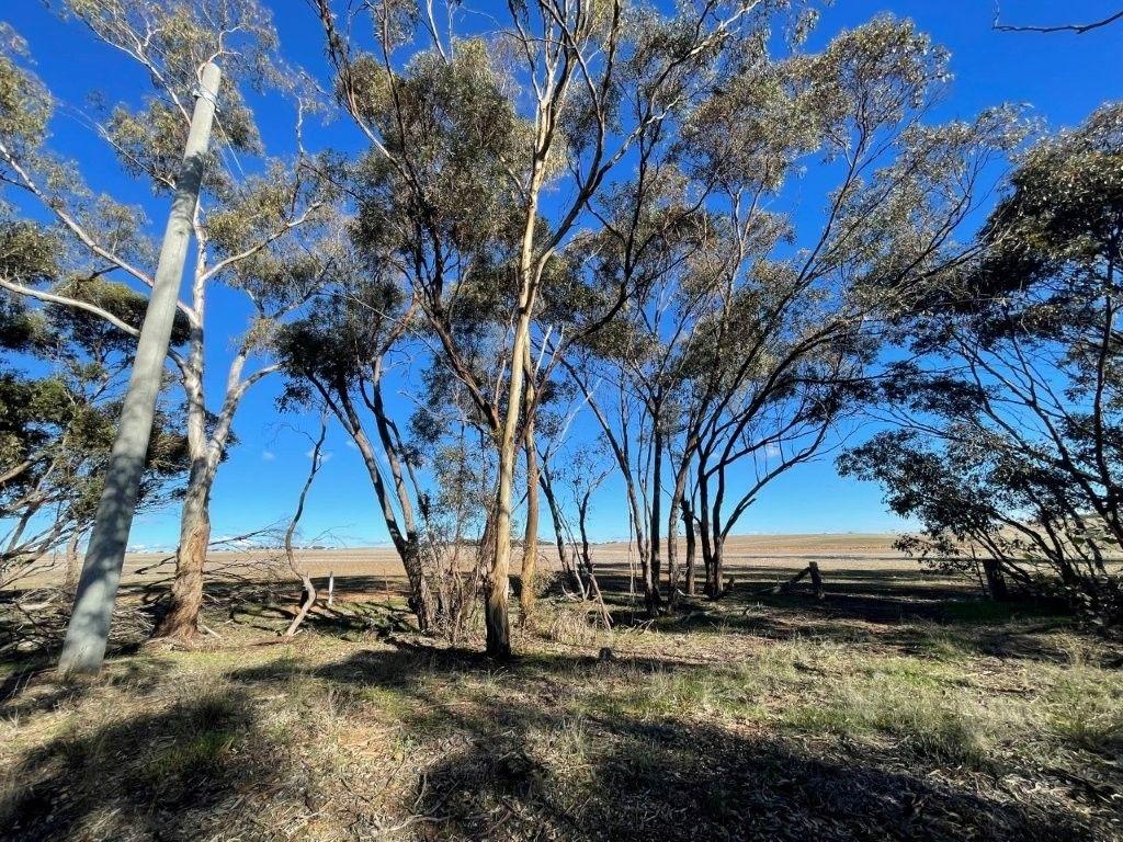 Property for Sale: Wedderburn, VIC 3518, VIC, 3518