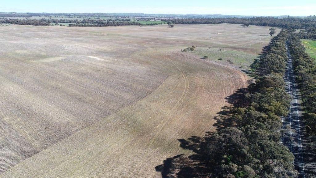 Property for Sale: Wedderburn, VIC 3518, VIC, 3518