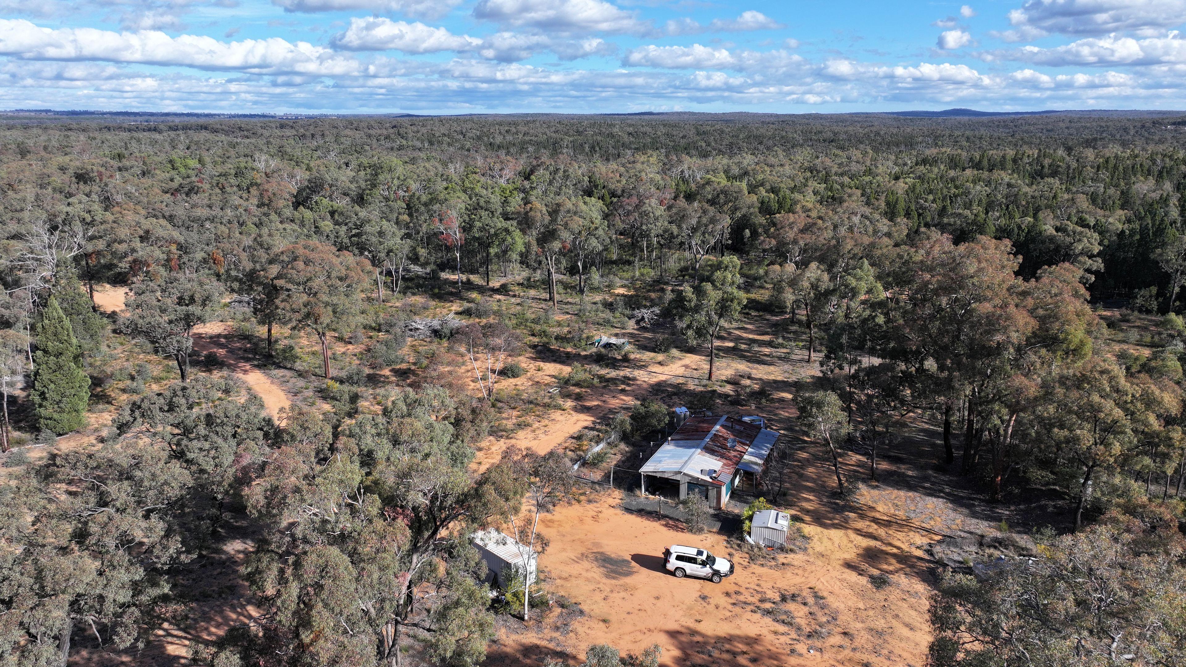 Prop-GPT: Lifestyle: NSW Dandry, NSW 2357 Rural