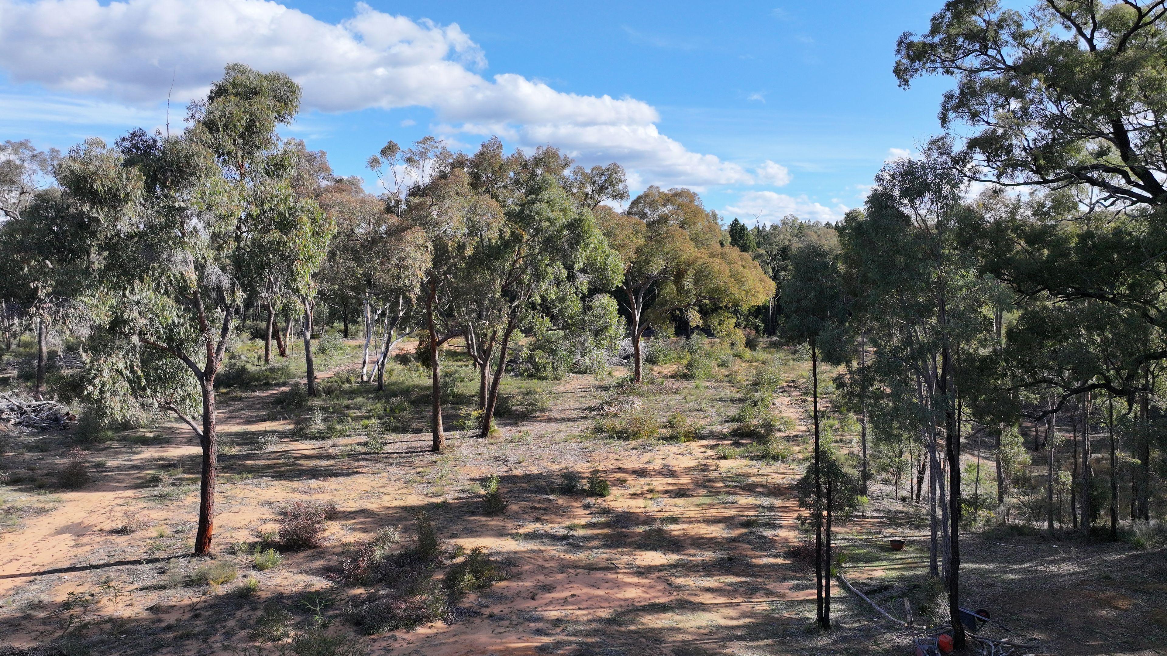 Lifestyle for Sale: Dandry, NSW 2357, NSW, 2357