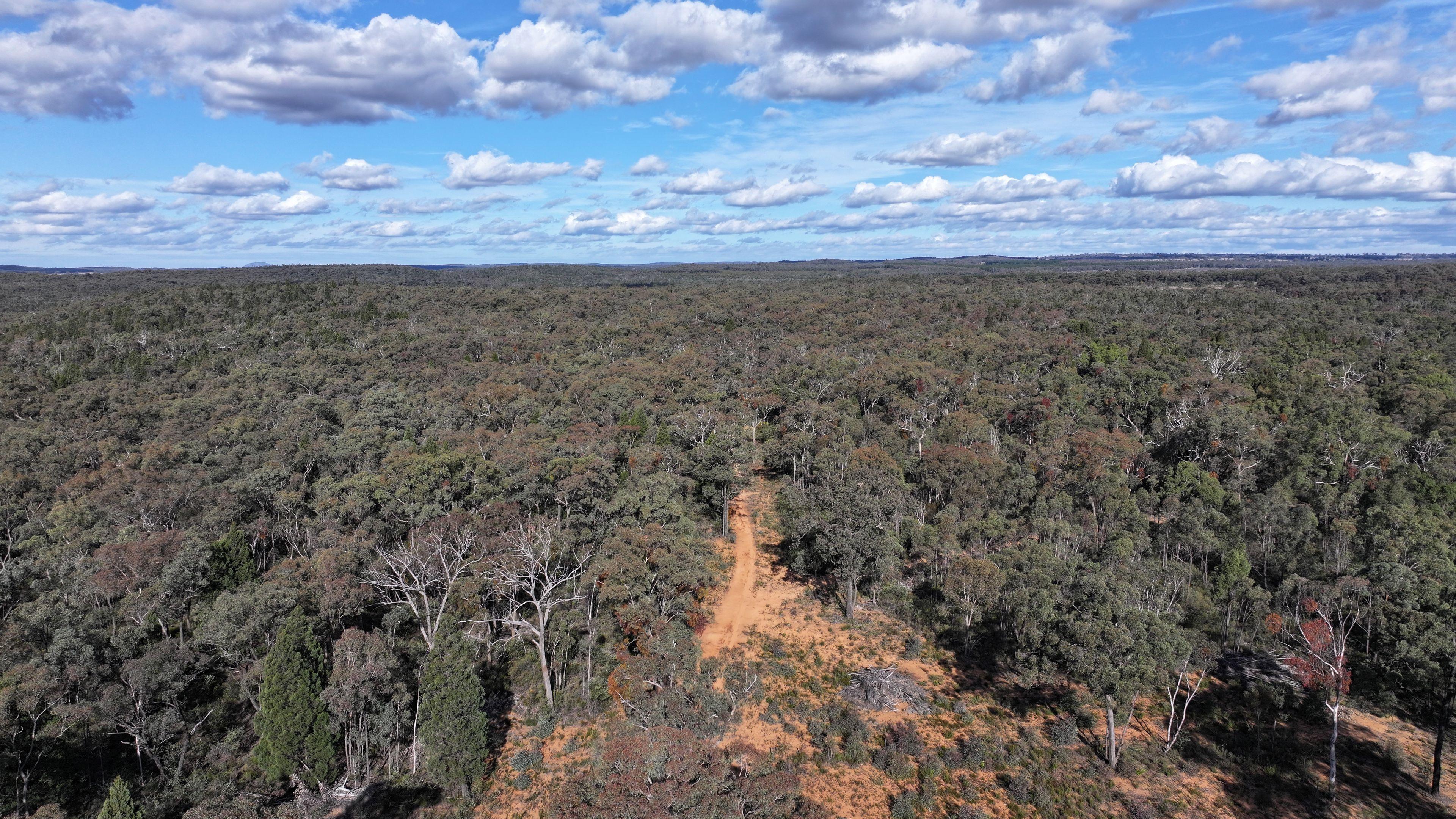 Lifestyle for Sale: Dandry, NSW 2357, NSW, 2357