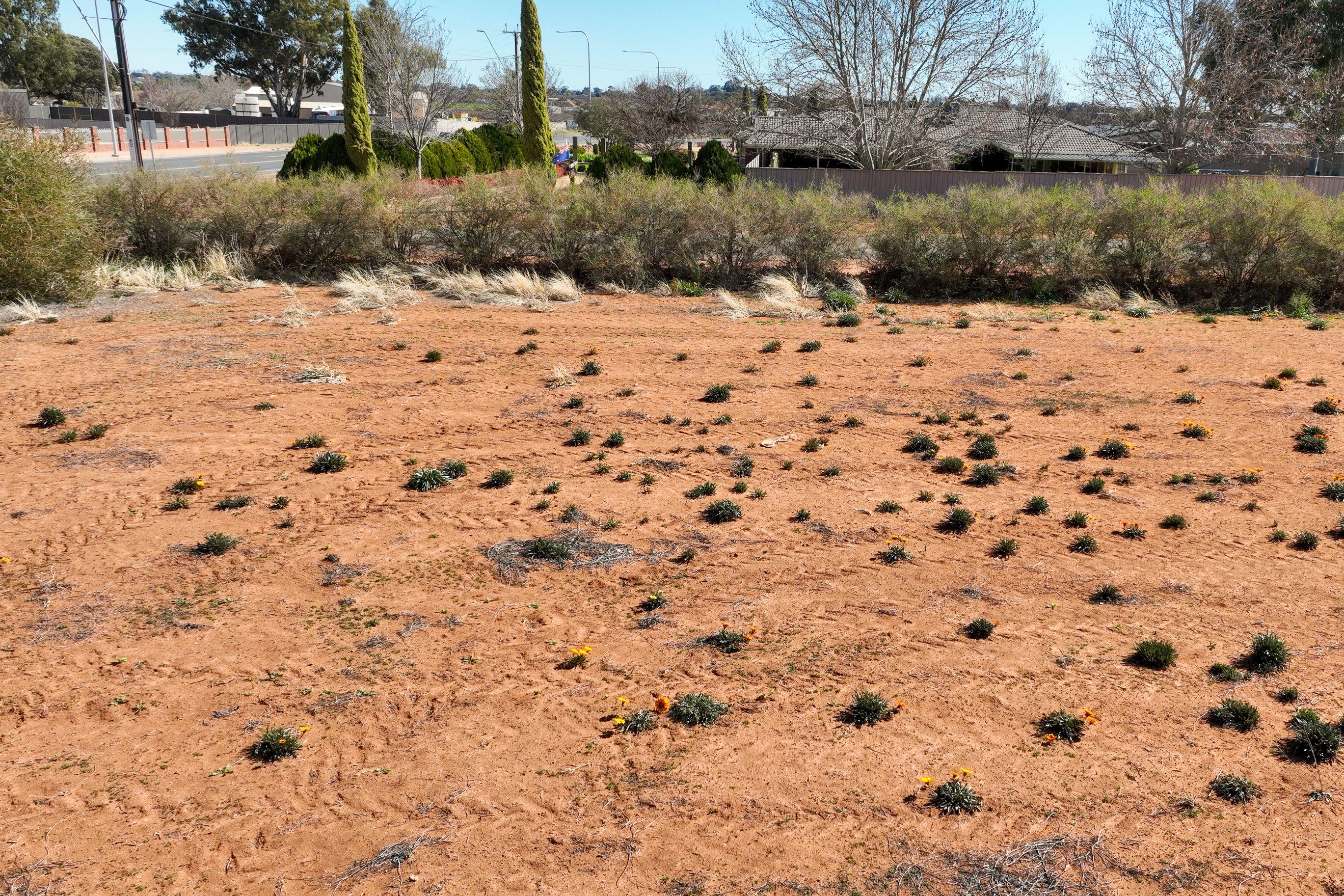 Land for Sale: Berri, SA 5343, SA, 5343