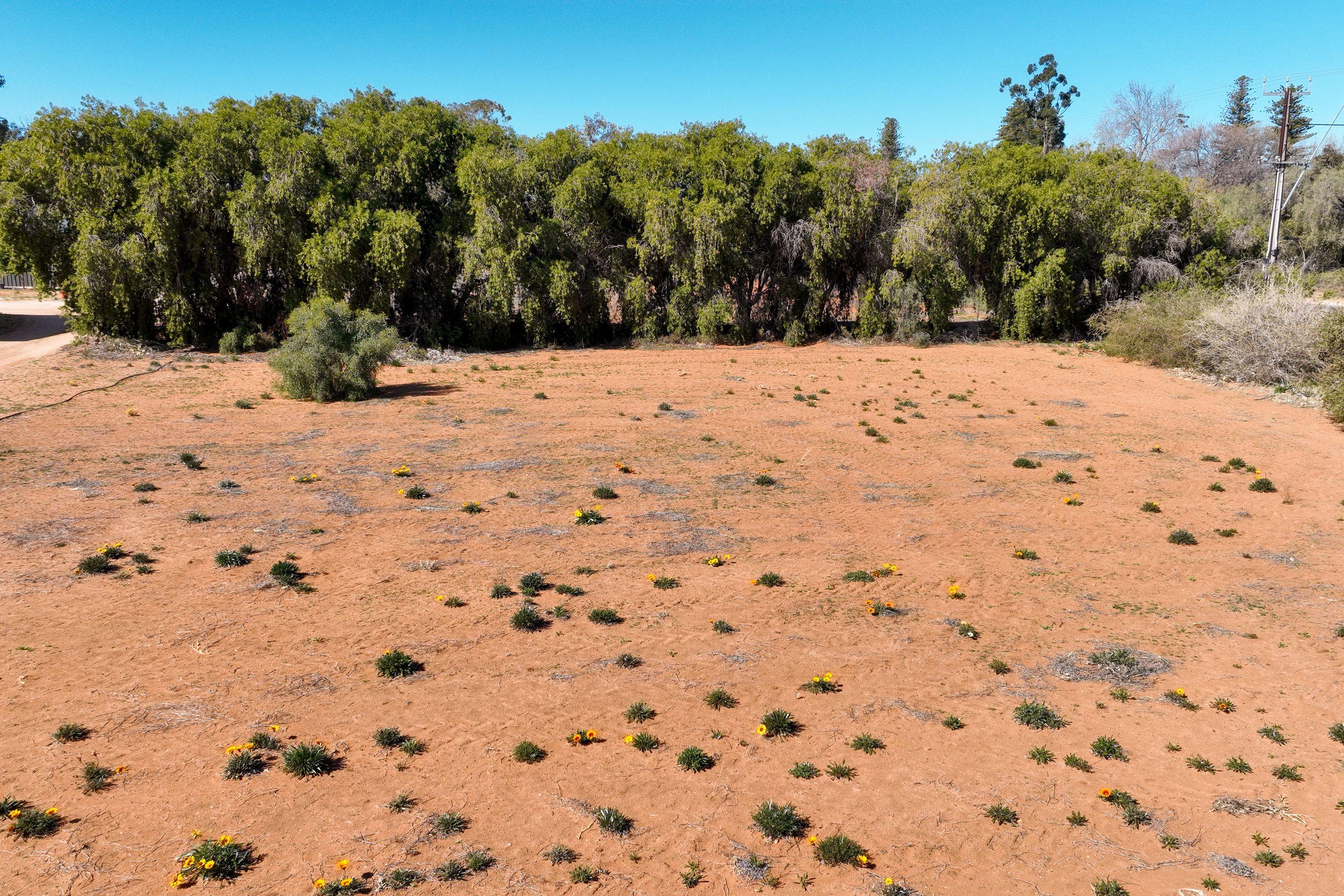 Land for Sale: Berri, SA 5343, SA, 5343