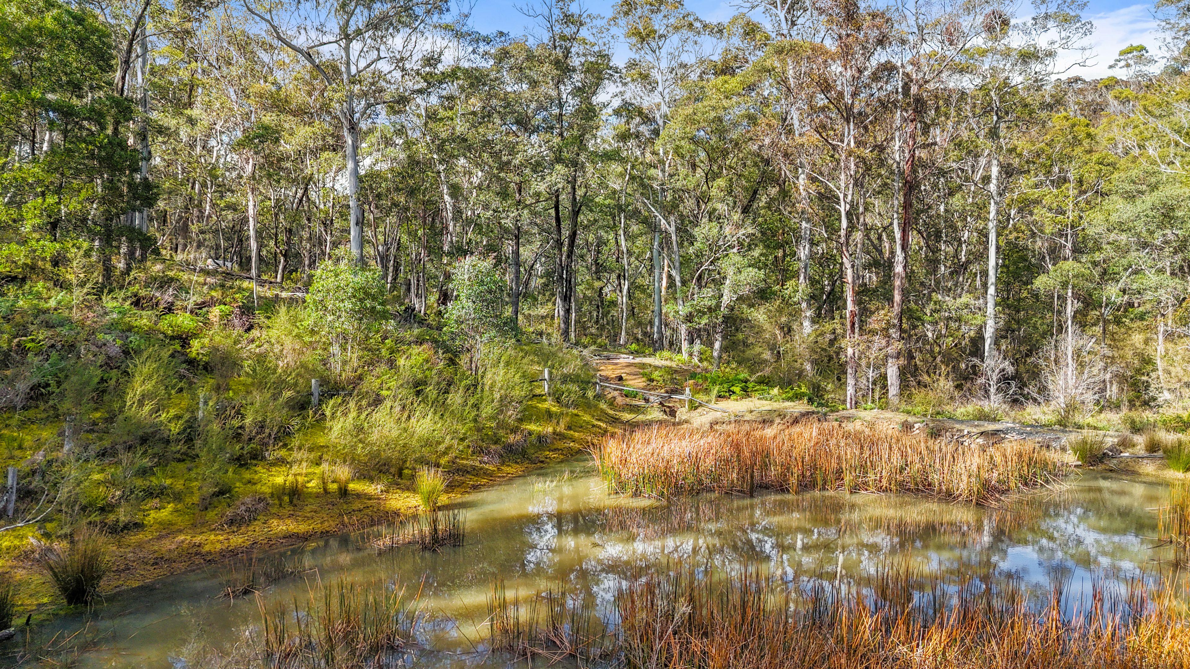 Prop-GPT: Land: NSW Cathcart, NSW 2632 Home For Sale