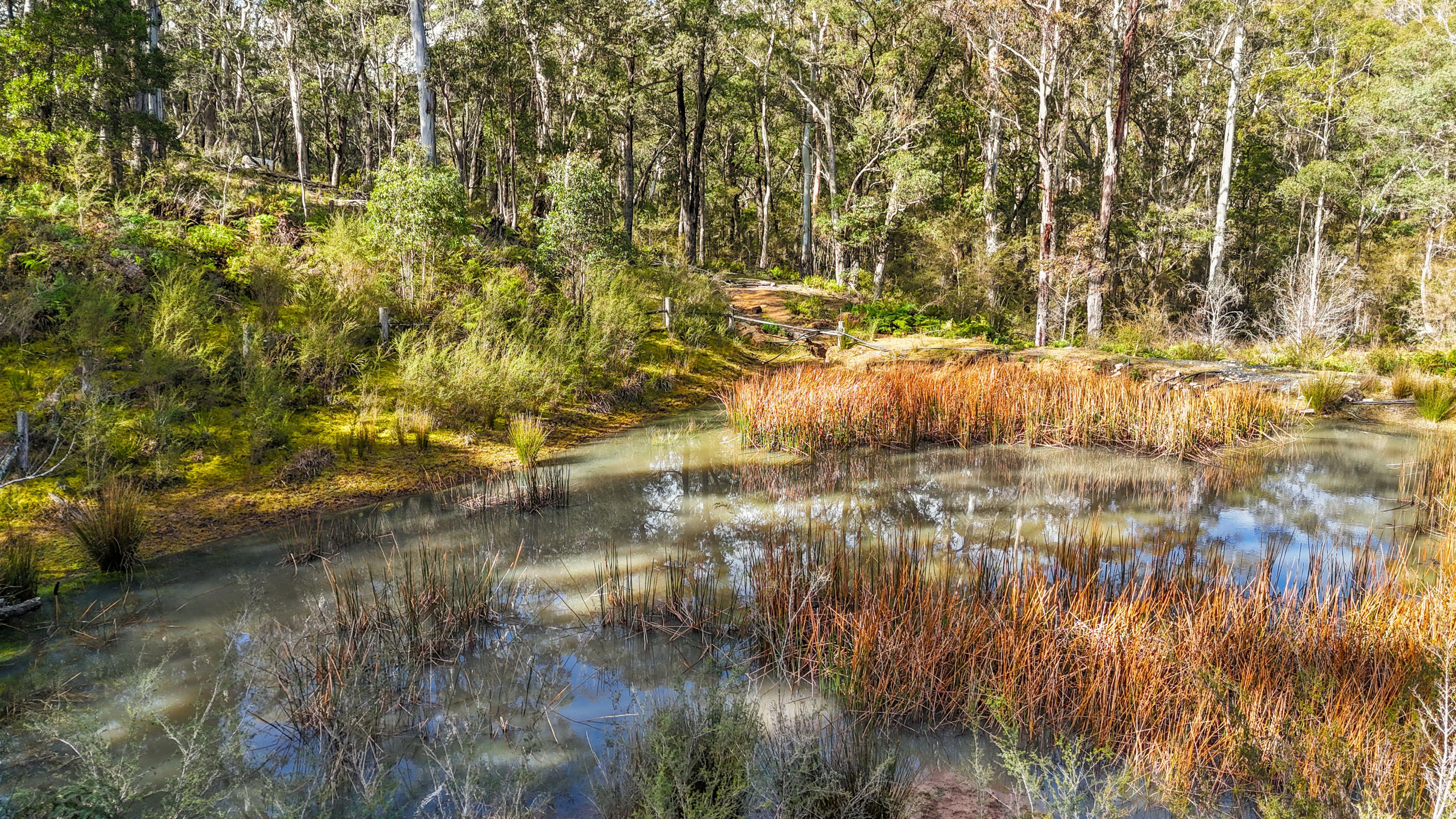 Land for Sale: Cathcart, NSW 2632, NSW, 2632