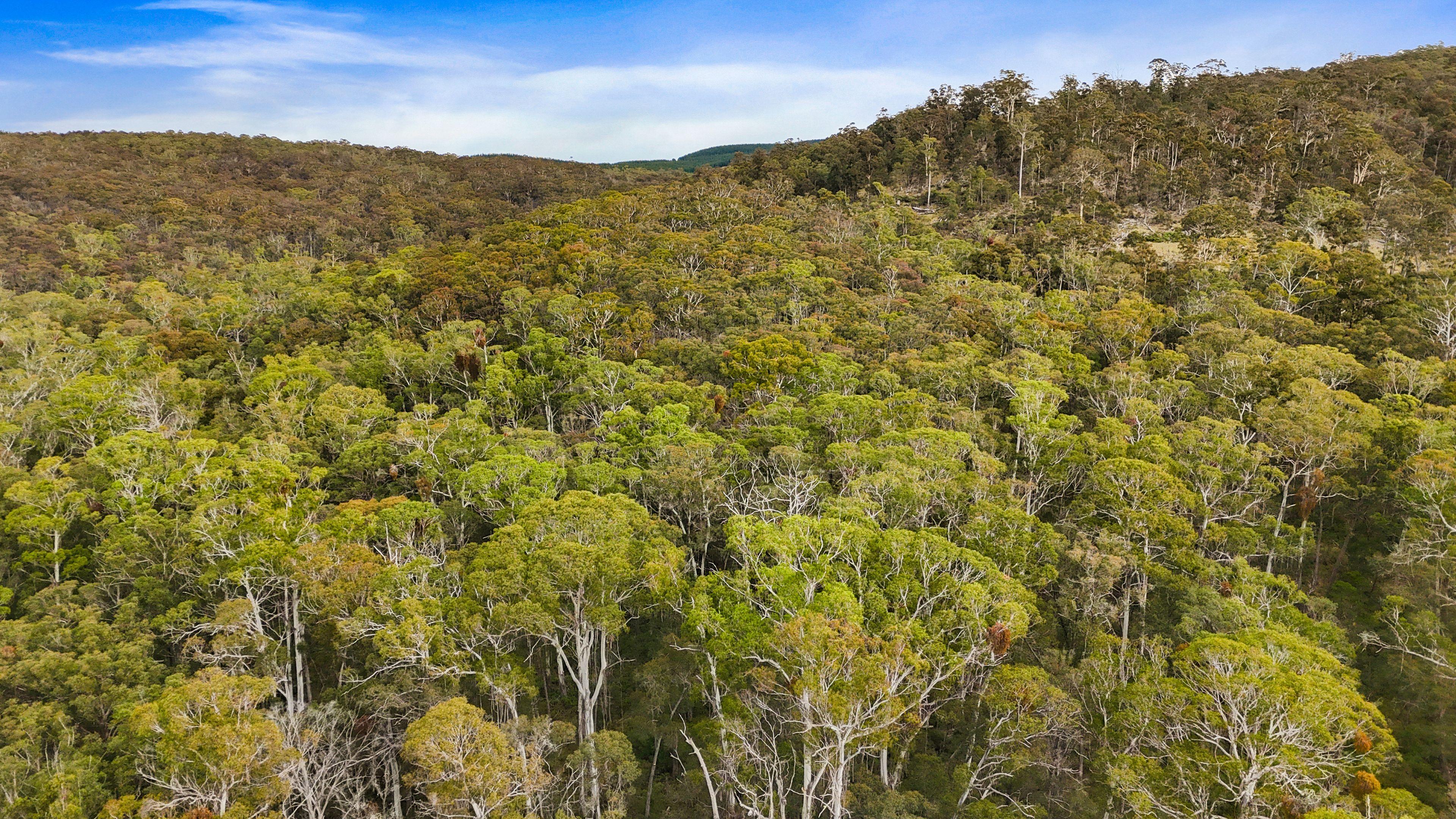 Land for Sale: Cathcart, NSW 2632, NSW, 2632