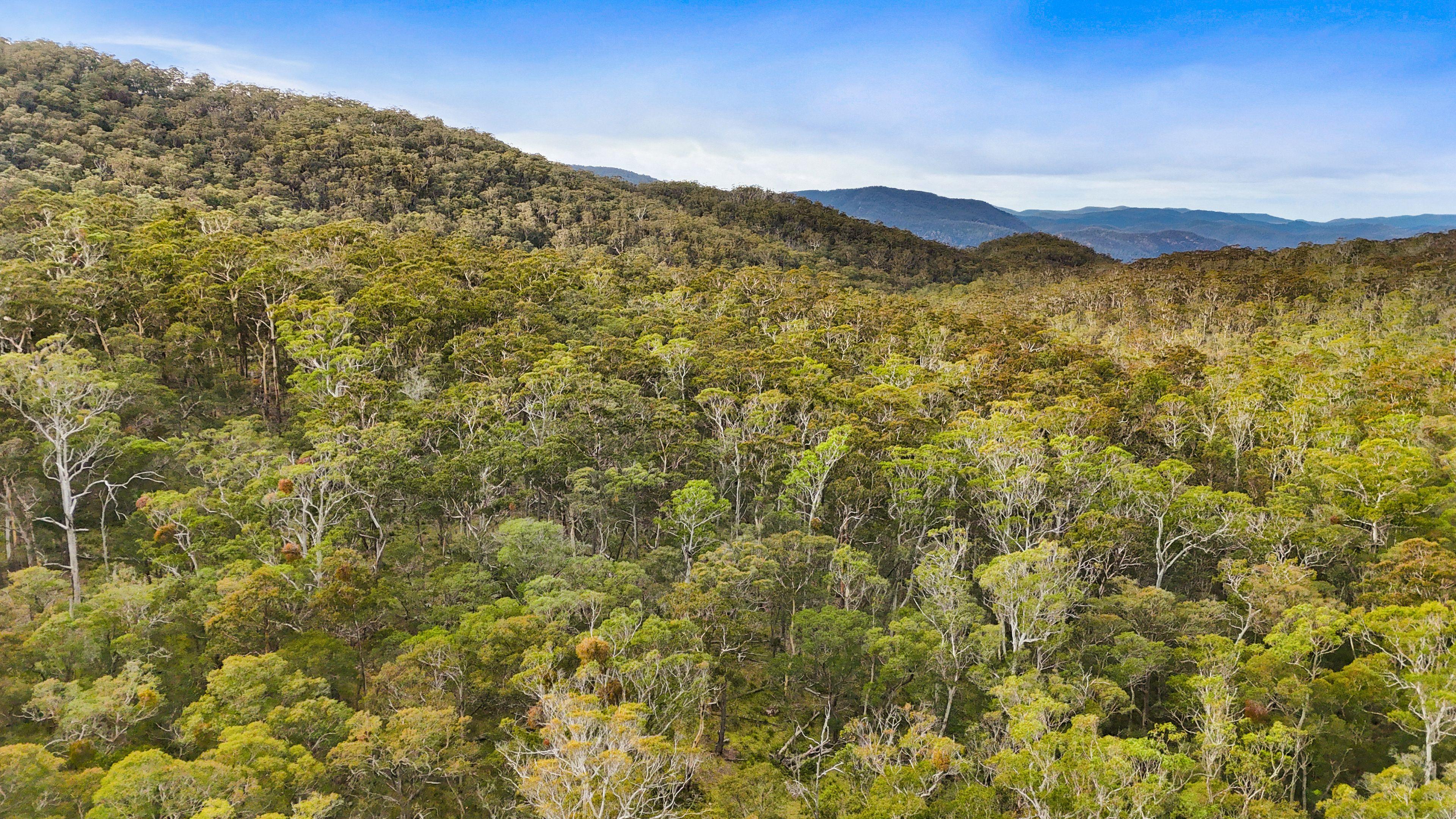 Land for Sale: Cathcart, NSW 2632, NSW, 2632