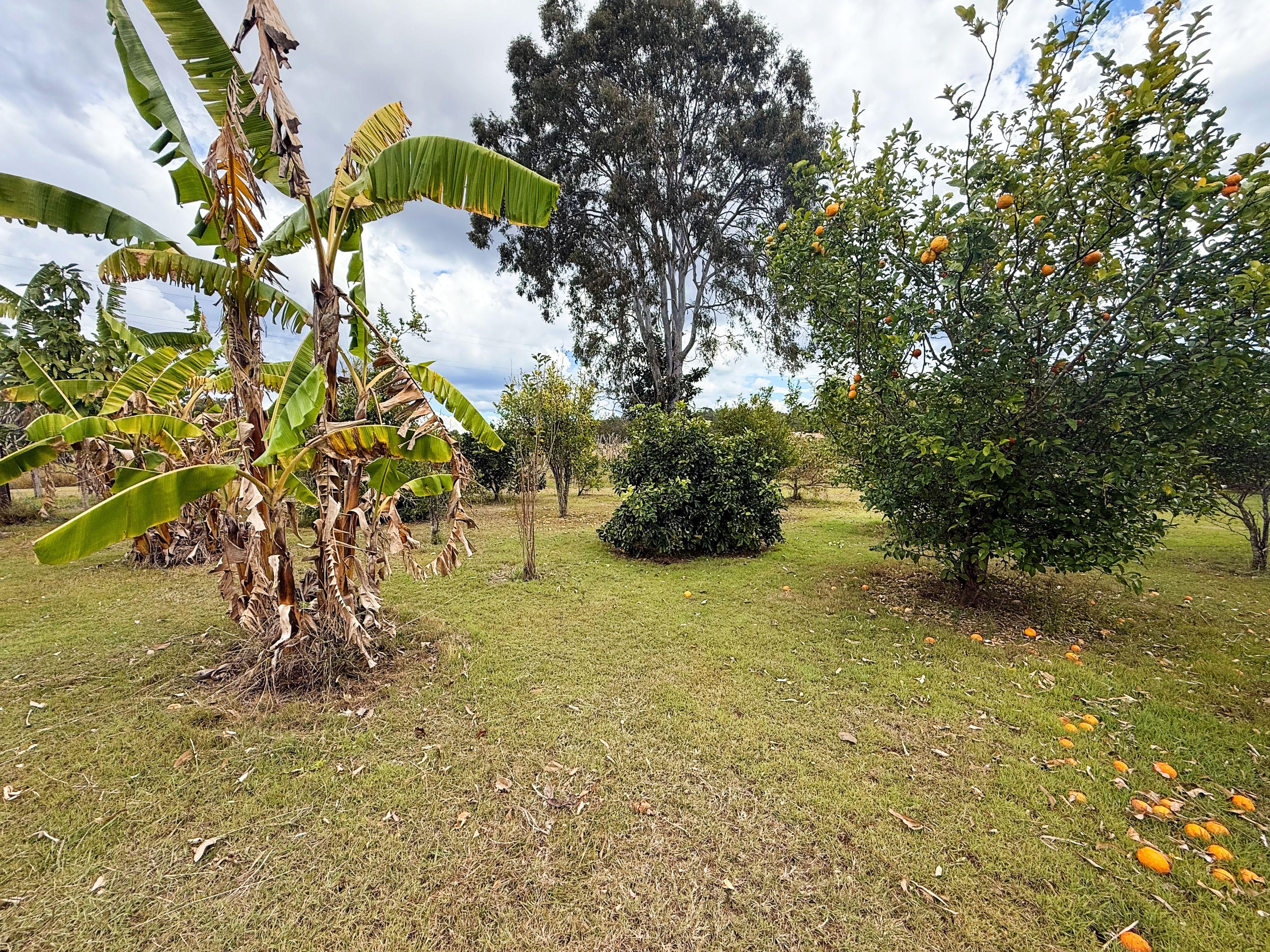 House for Sale: Tirroan, QLD 4671, QLD, 4671