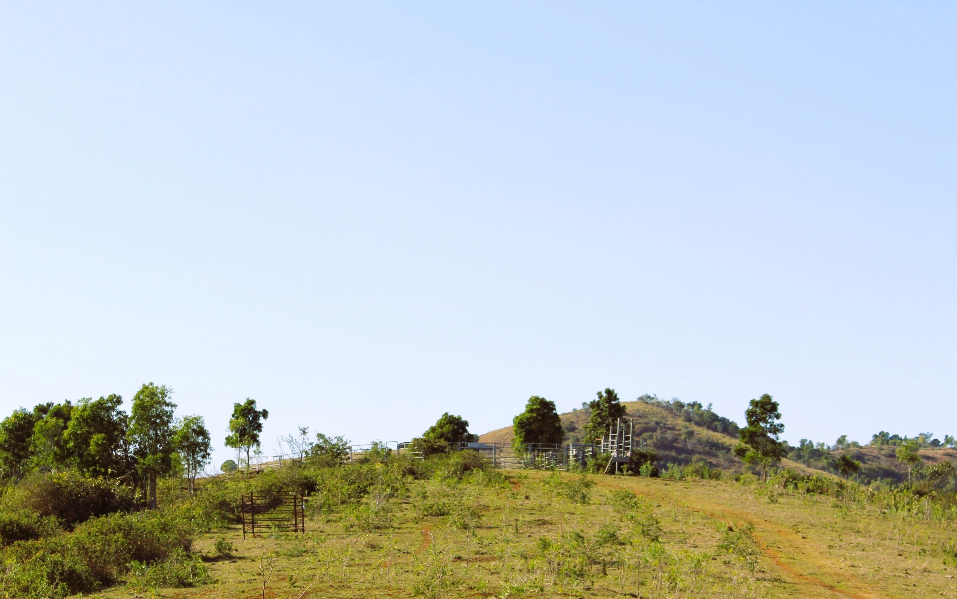 Prop-GPT: Other: QLD Bracewell, QLD 4695 Rural
