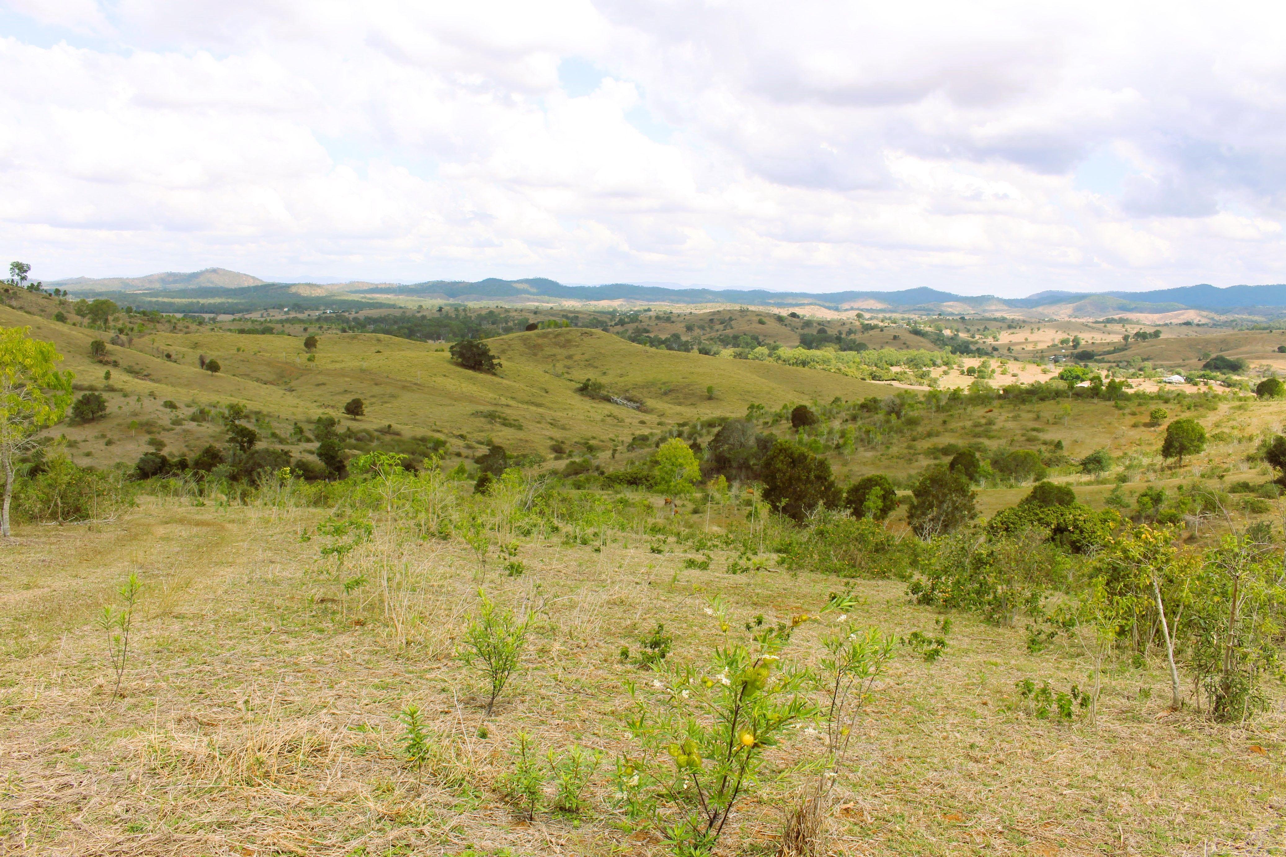 Other for Sale: Bracewell, QLD 4695, QLD, 4695