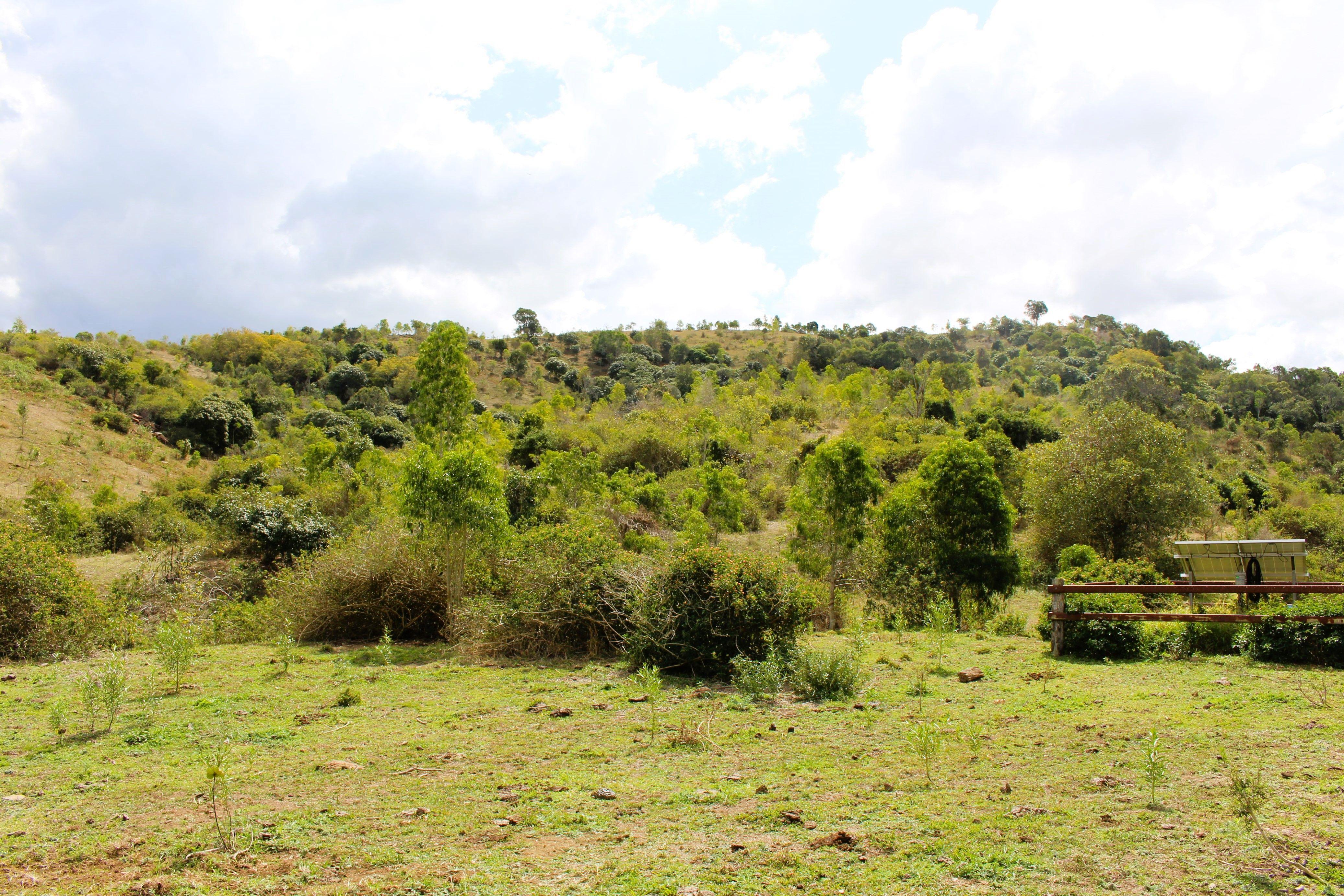 Other for Sale: Bracewell, QLD 4695, QLD, 4695