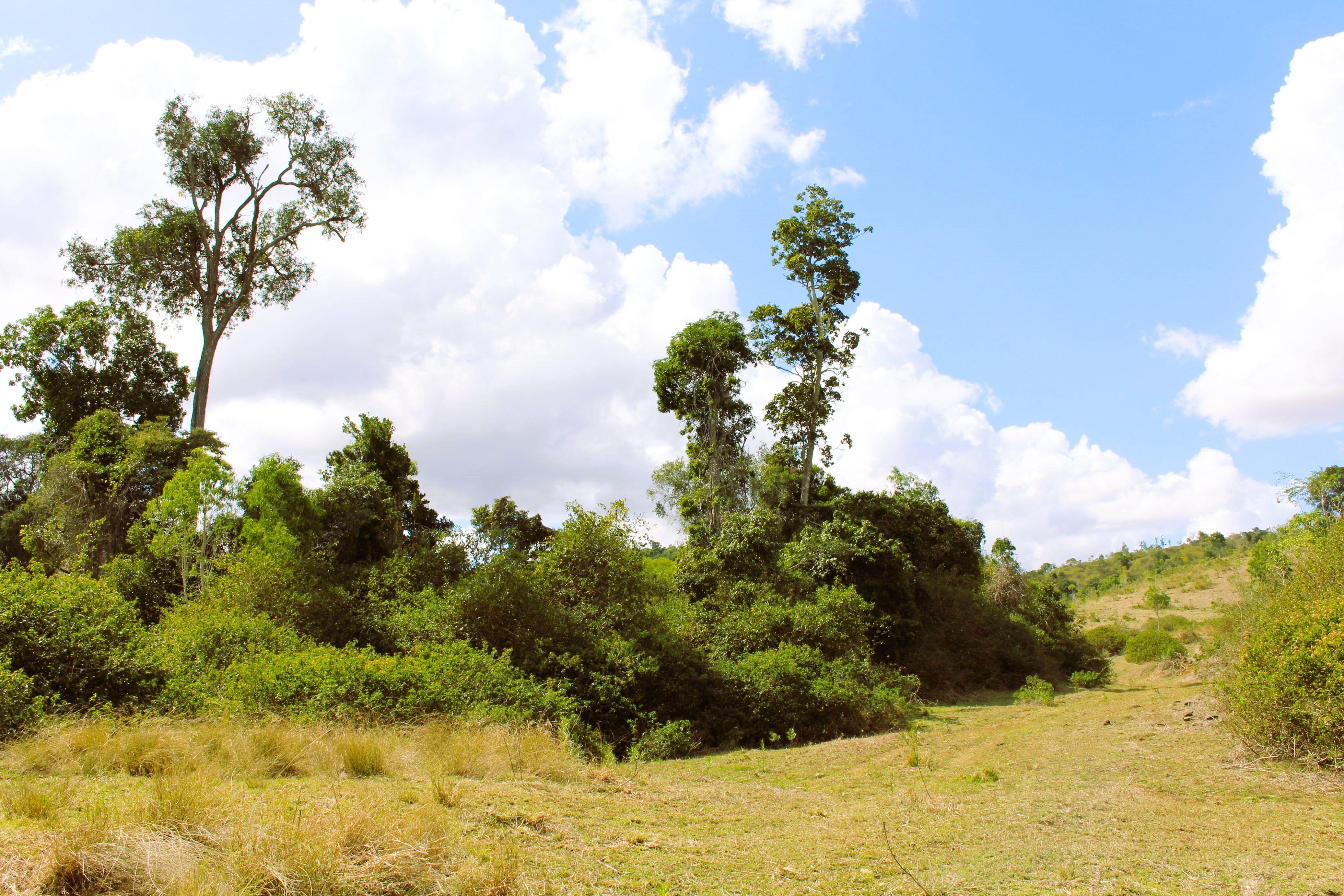 Other for Sale: Bracewell, QLD 4695, QLD, 4695