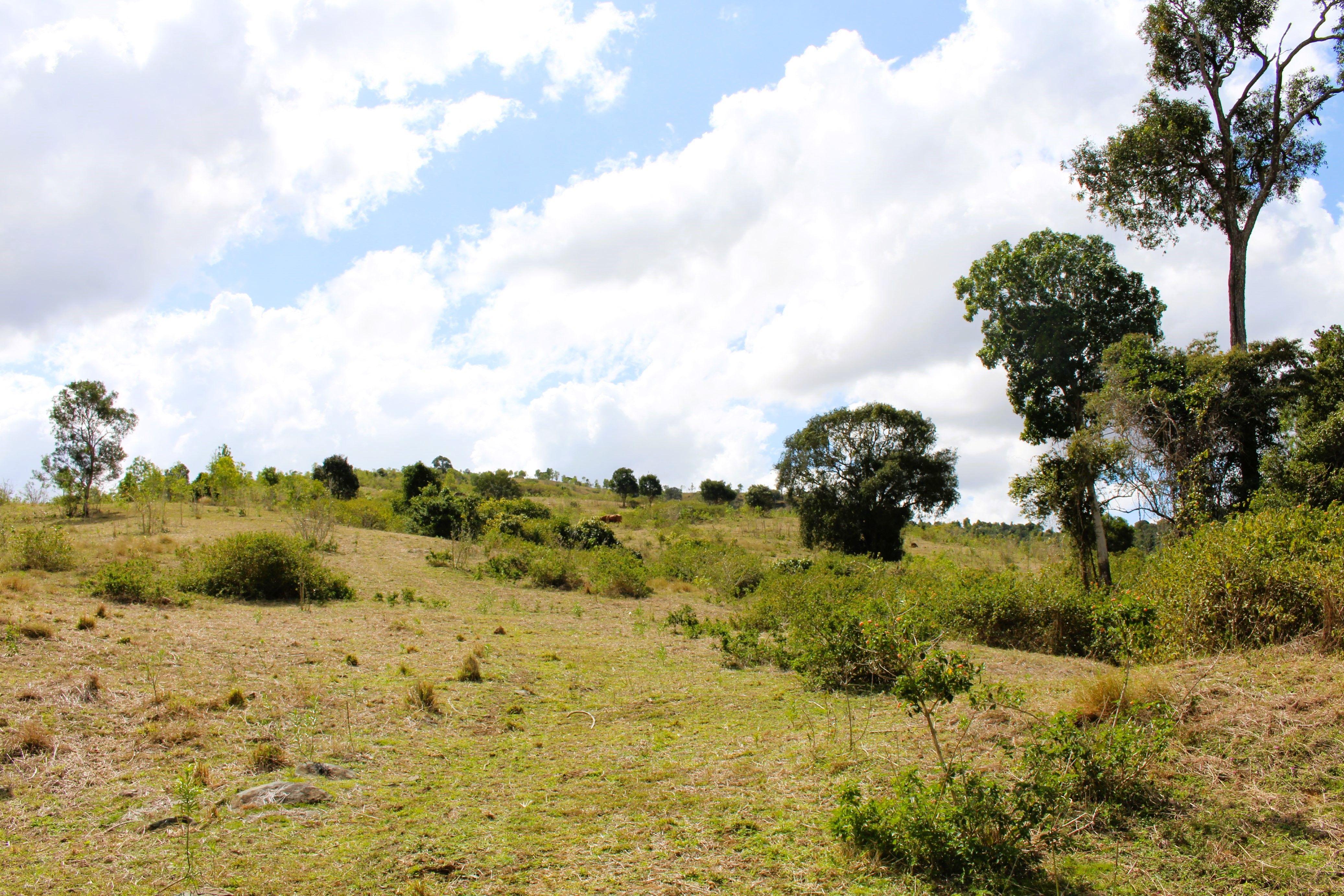Other for Sale: Bracewell, QLD 4695, QLD, 4695