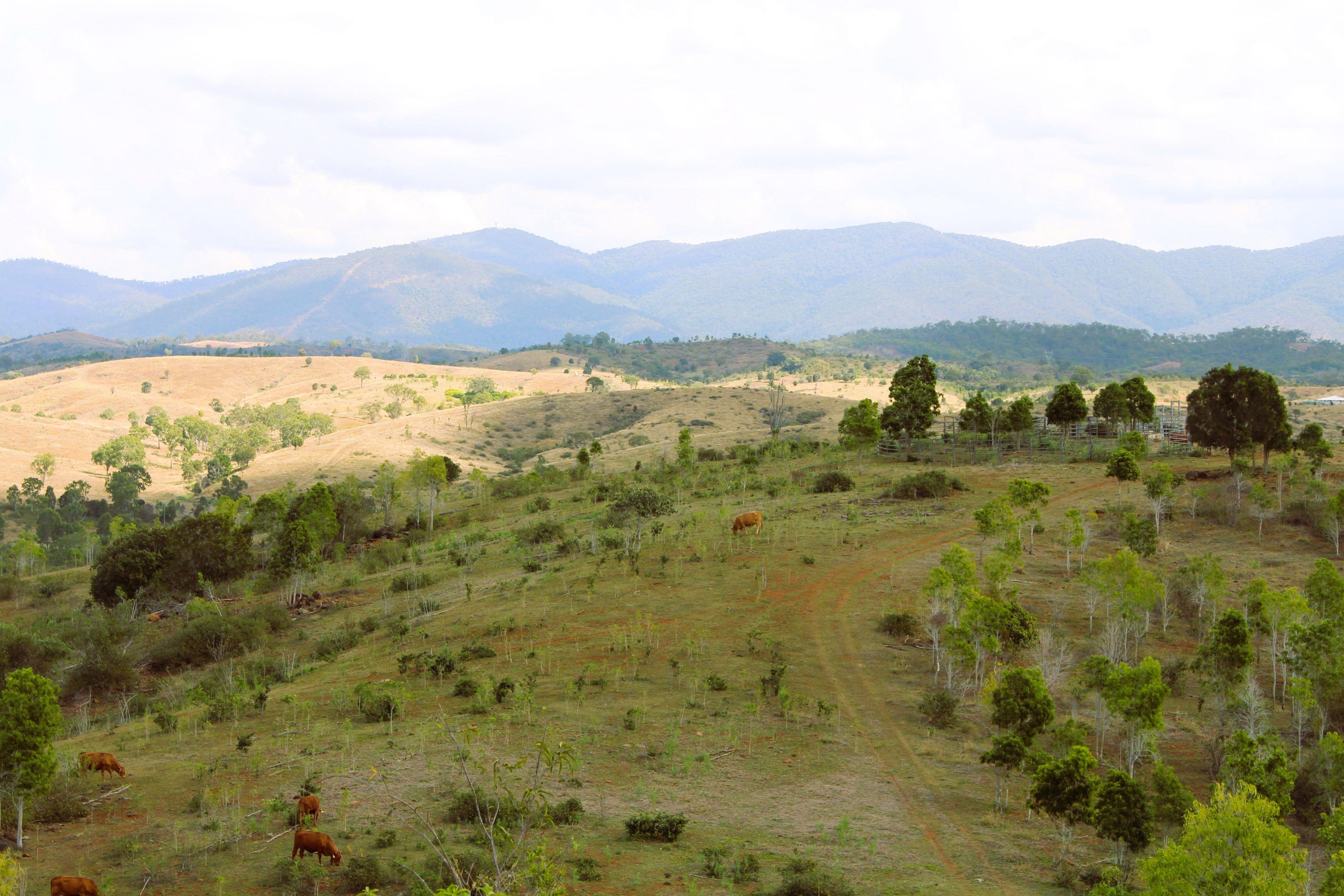 Other for Sale: Bracewell, QLD 4695, QLD, 4695