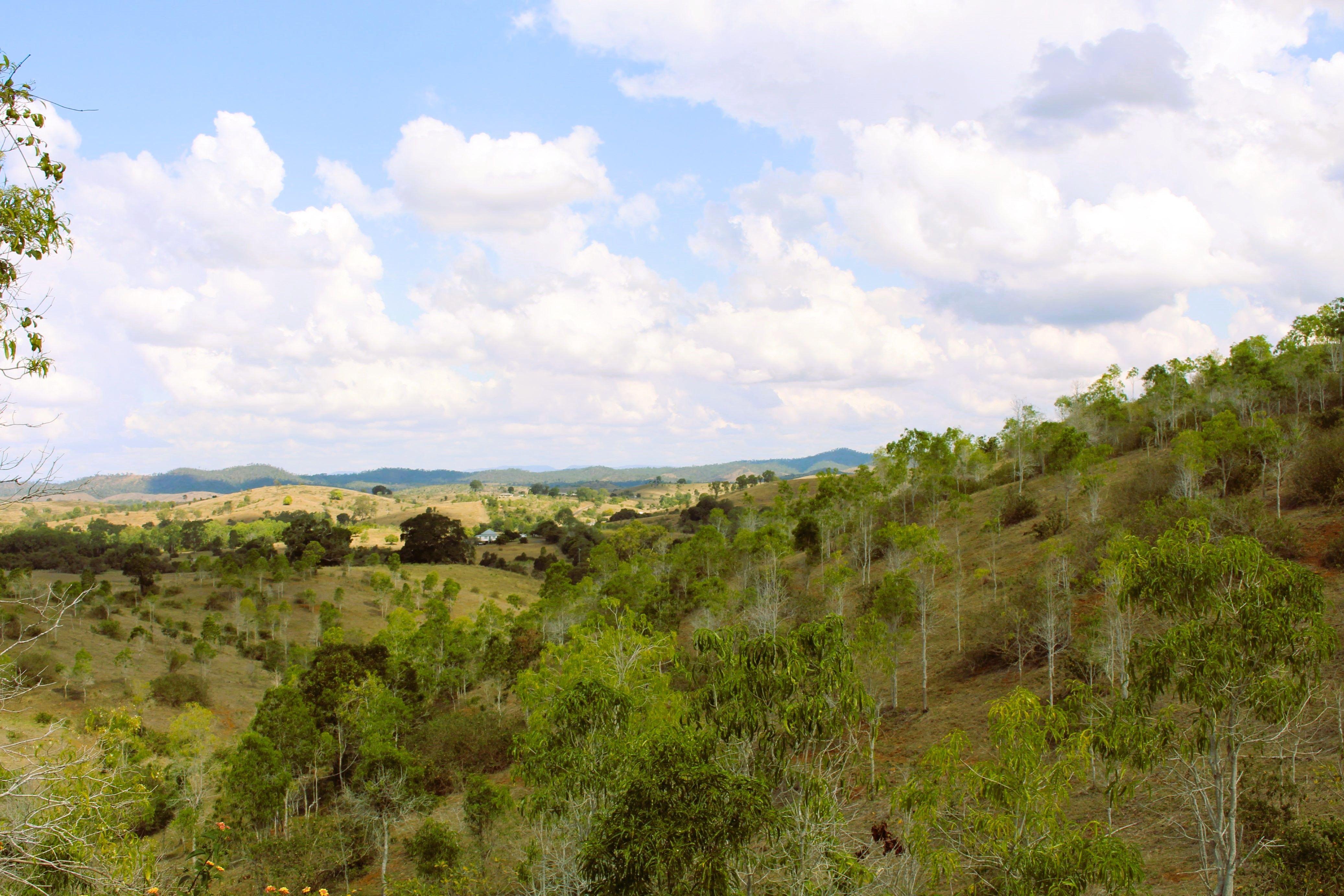 Other for Sale: Bracewell, QLD 4695, QLD, 4695