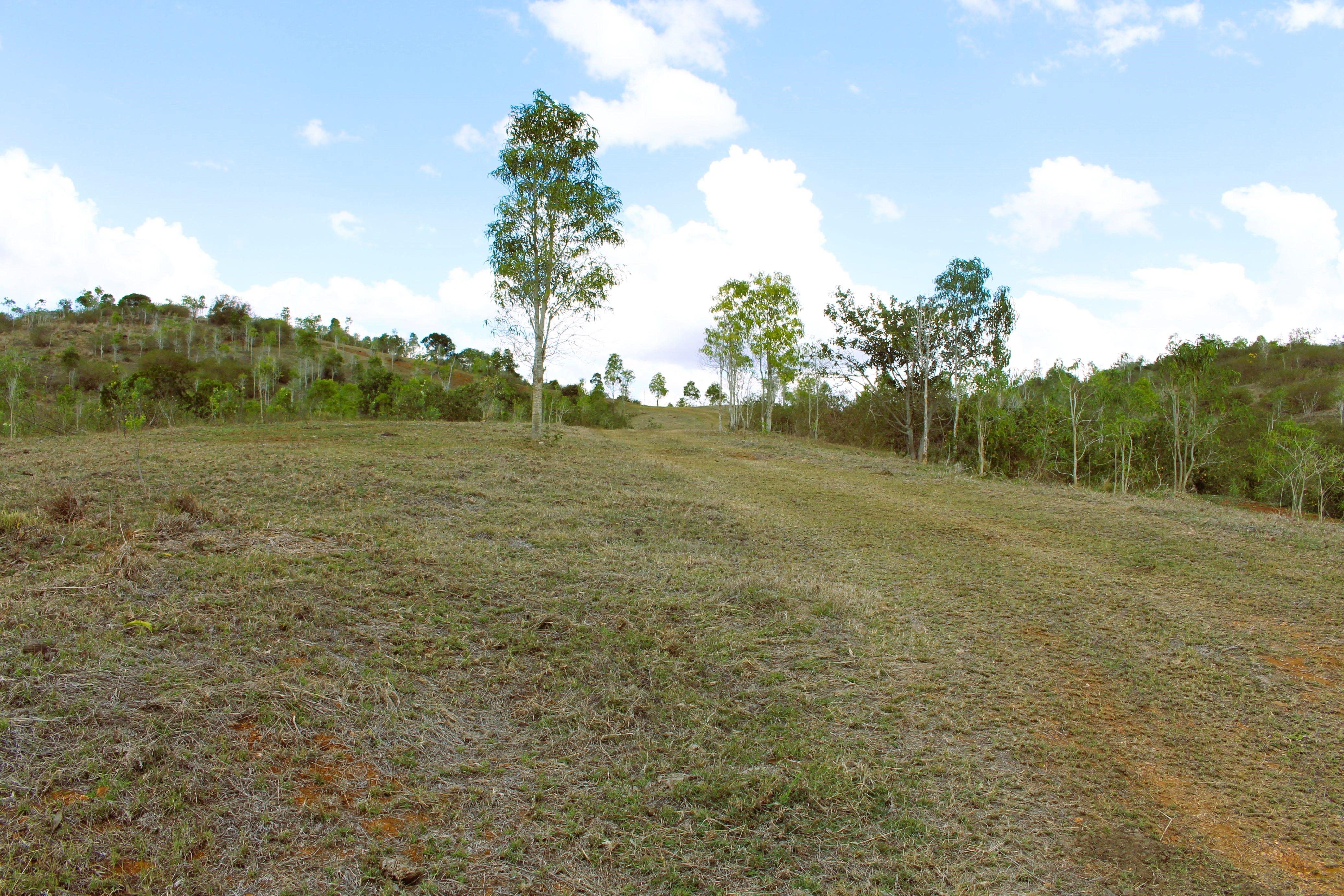 Other for Sale: Bracewell, QLD 4695, QLD, 4695
