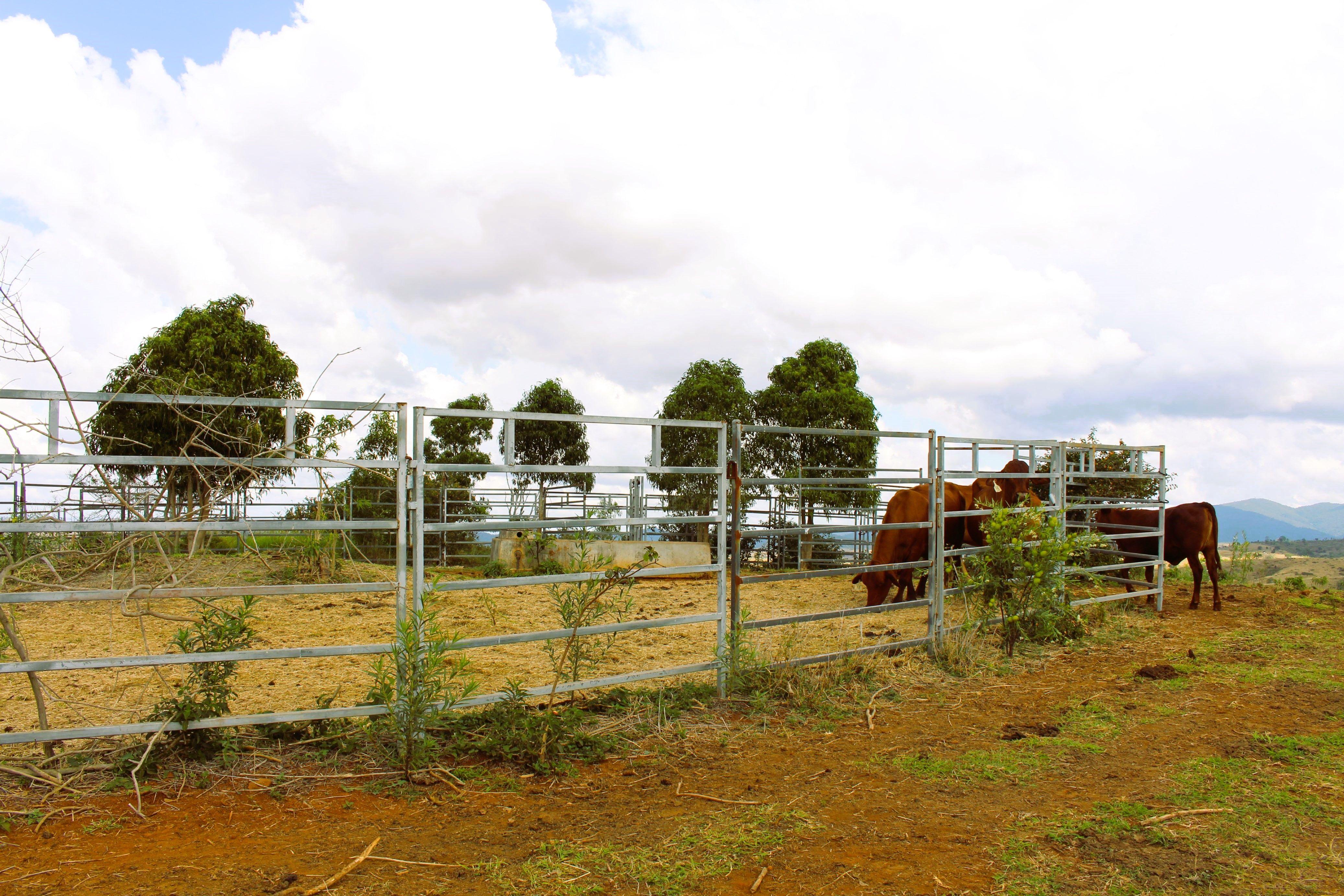 Other for Sale: Bracewell, QLD 4695, QLD, 4695