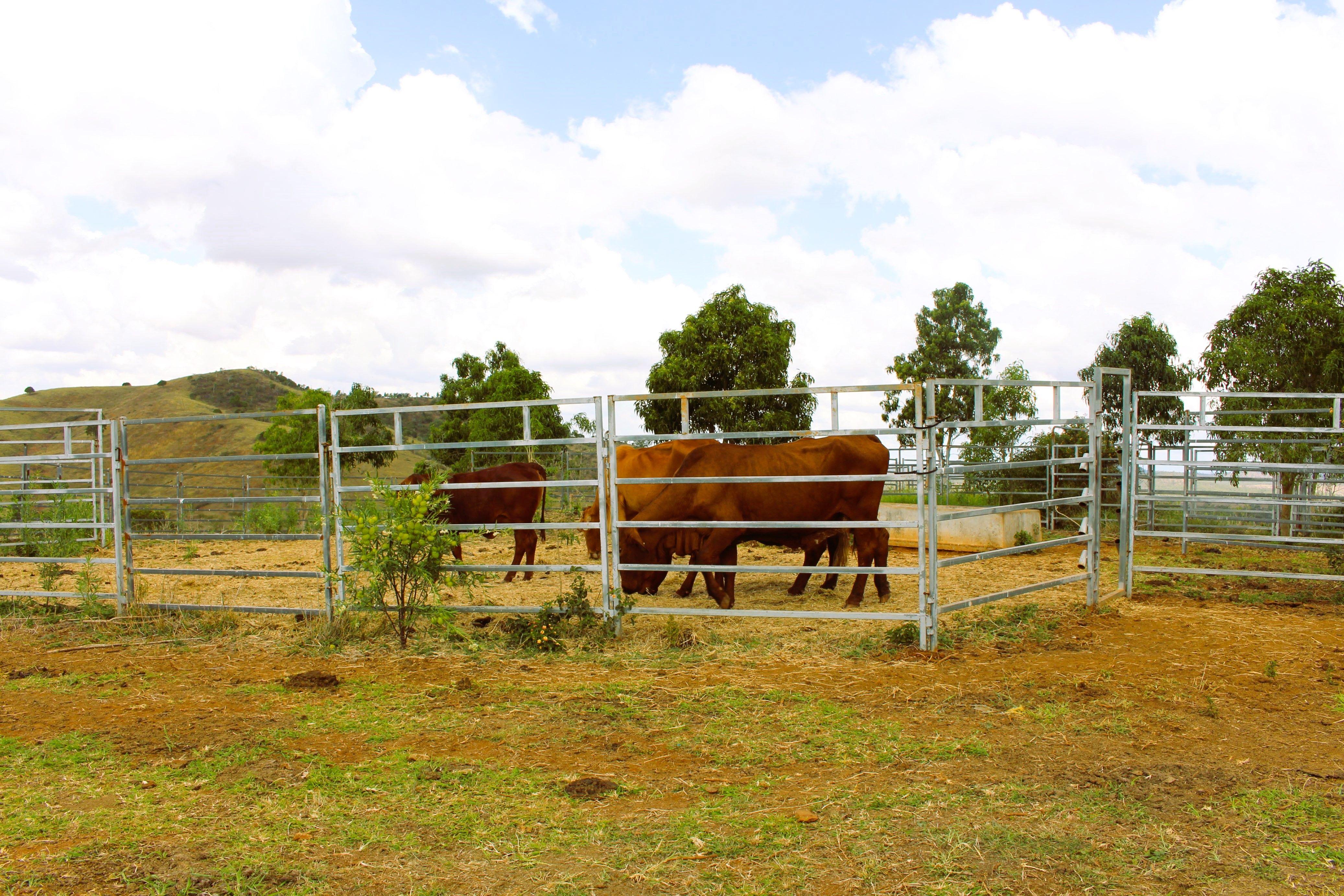 Other for Sale: Bracewell, QLD 4695, QLD, 4695