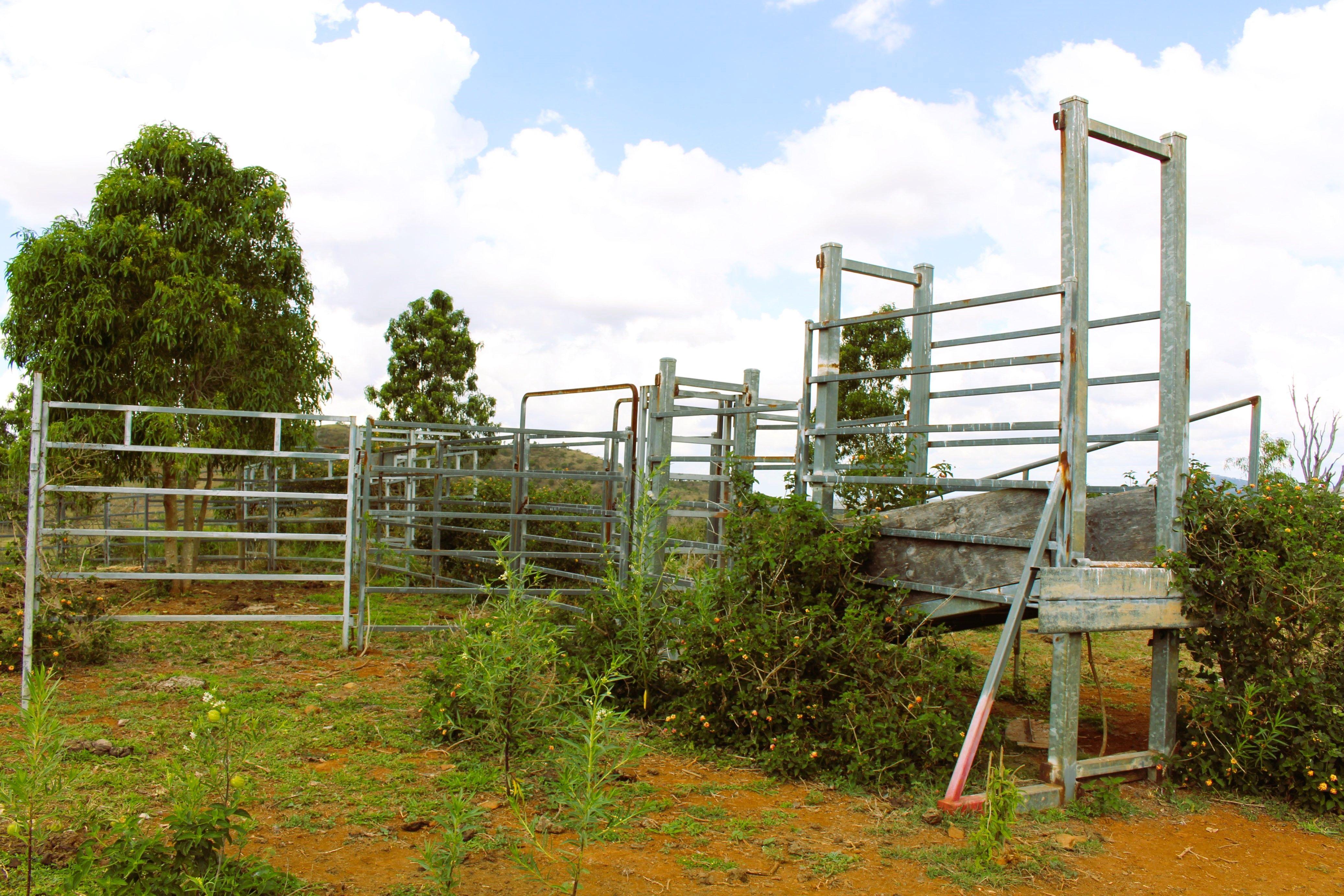 Other for Sale: Bracewell, QLD 4695, QLD, 4695
