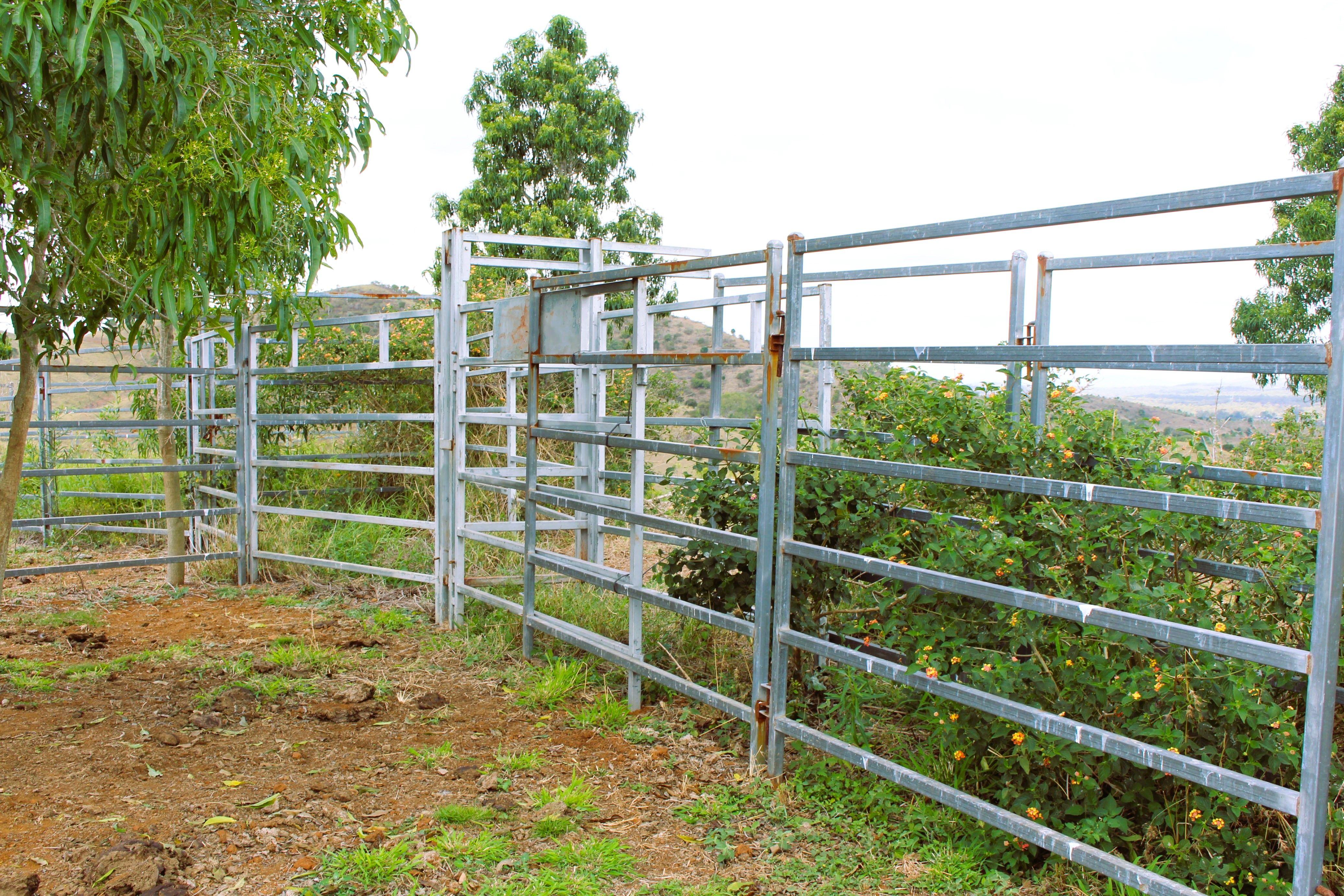 Other for Sale: Bracewell, QLD 4695, QLD, 4695
