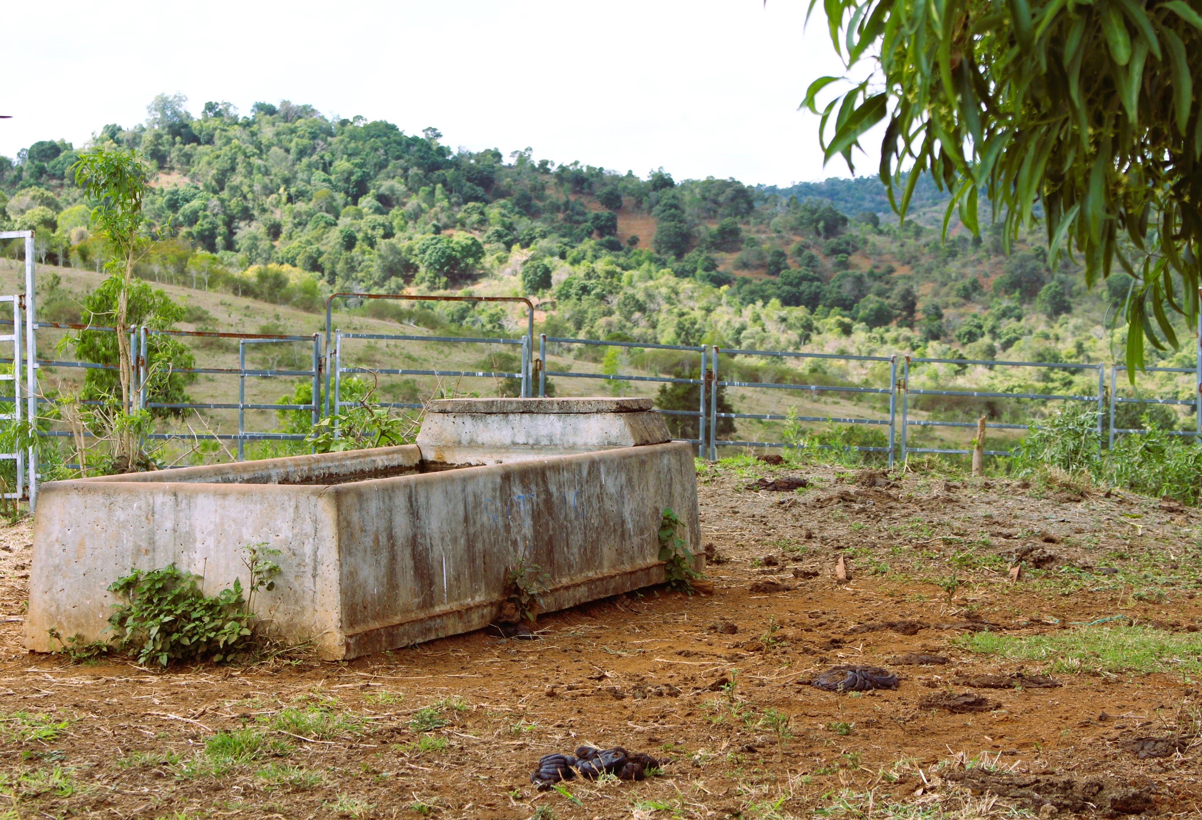 Other for Sale: Bracewell, QLD 4695, QLD, 4695