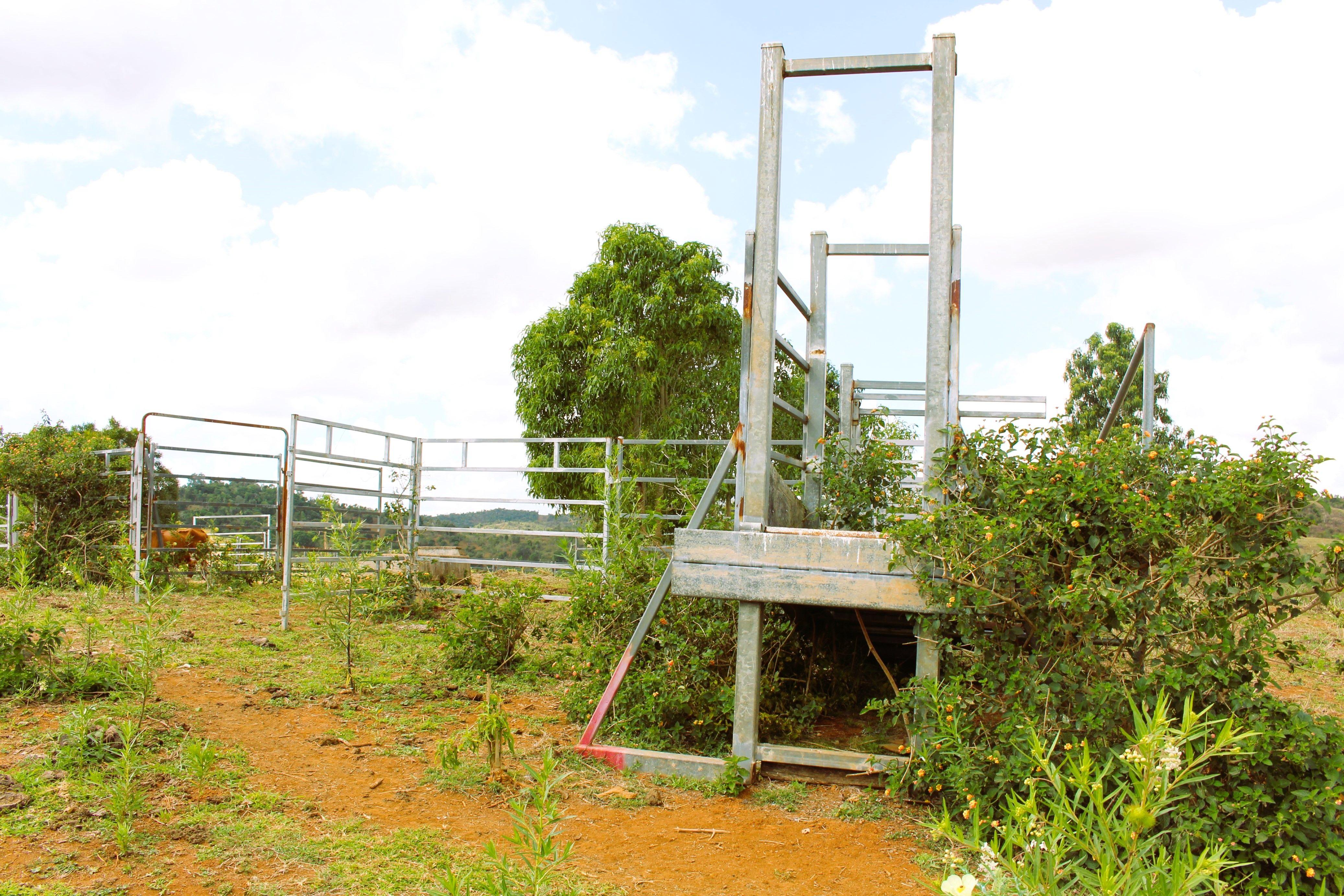 Other for Sale: Bracewell, QLD 4695, QLD, 4695