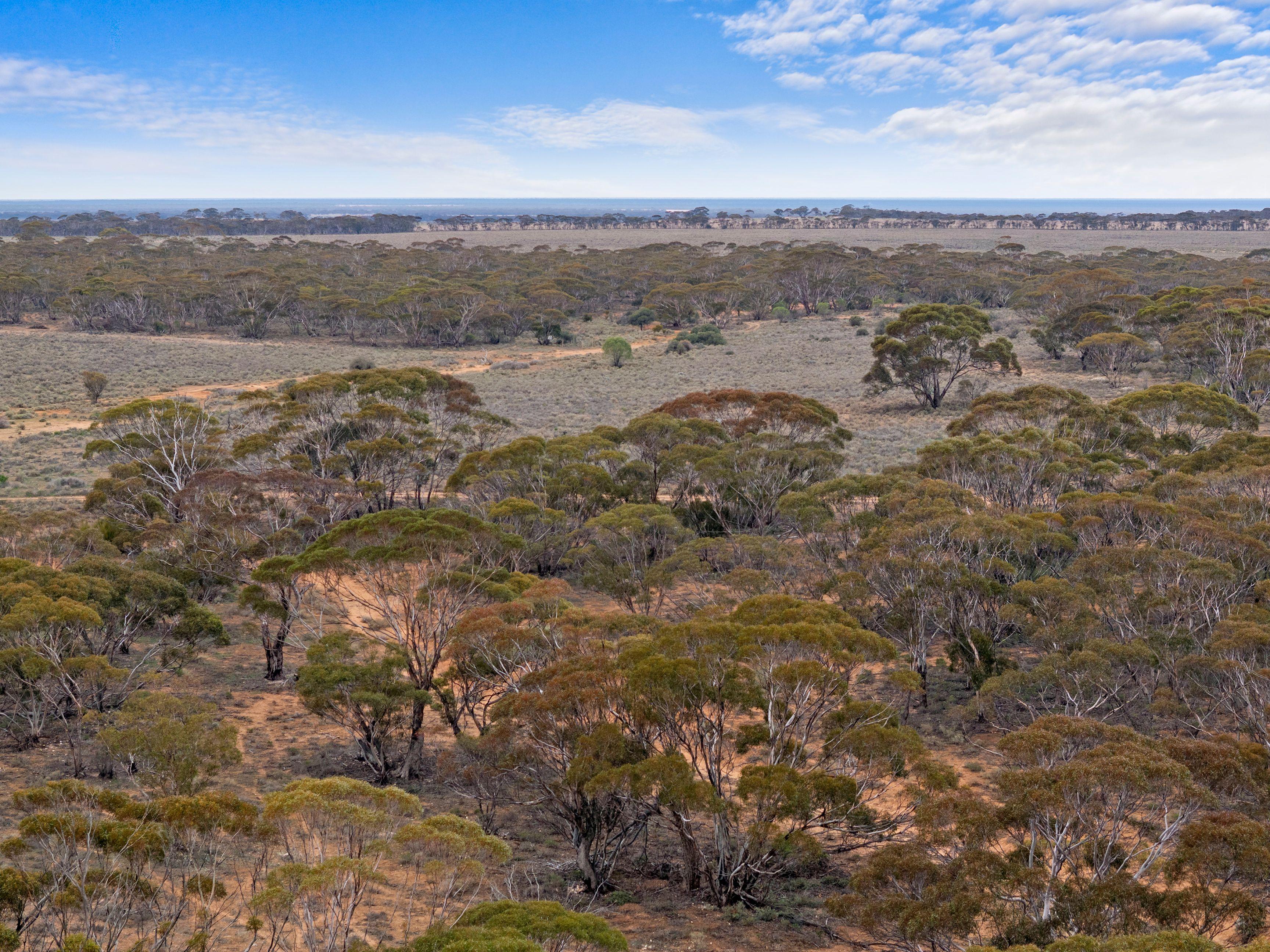 Other for Sale: Brownlow, SA 5374, SA, 5374