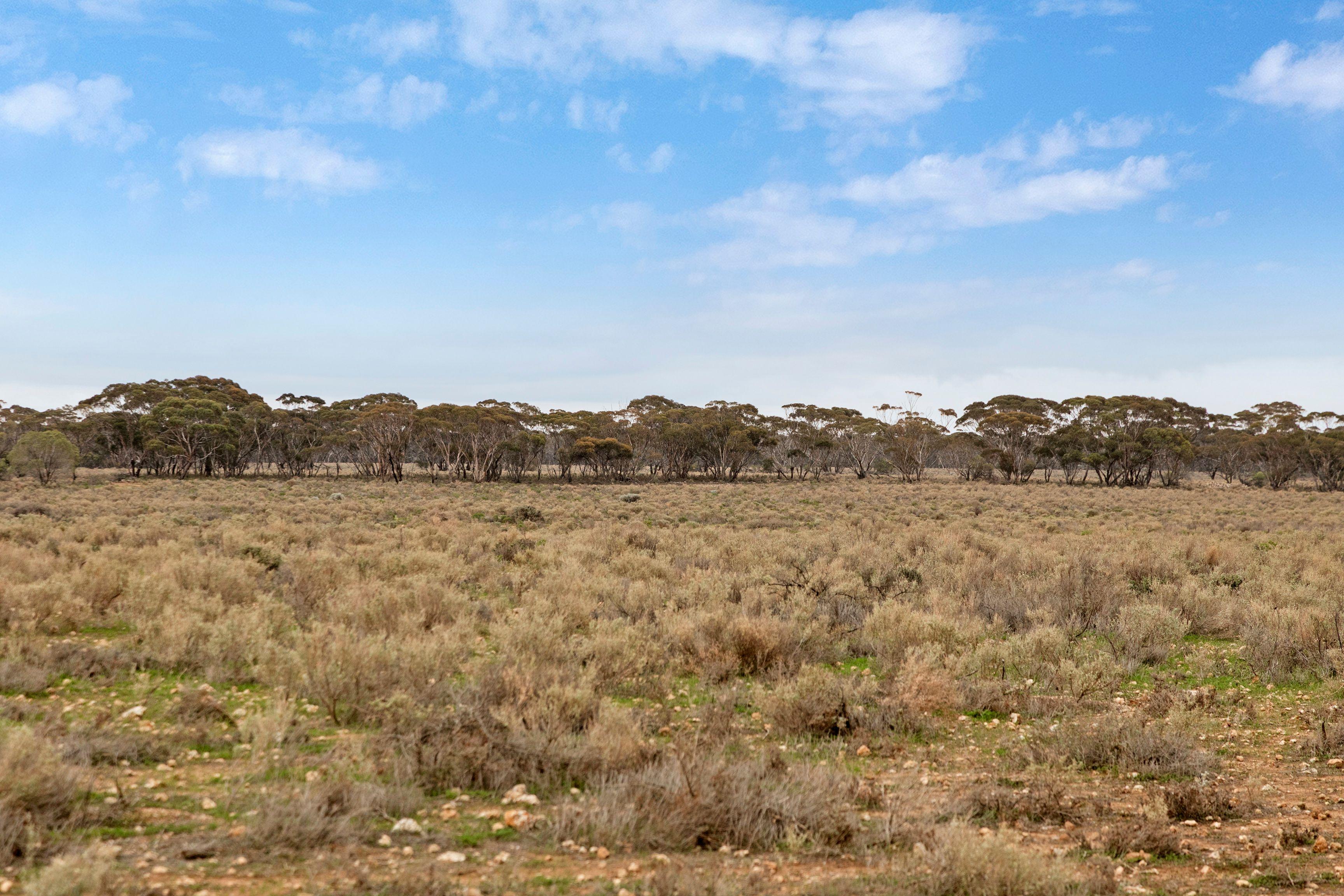 Other for Sale: Brownlow, SA 5374, SA, 5374