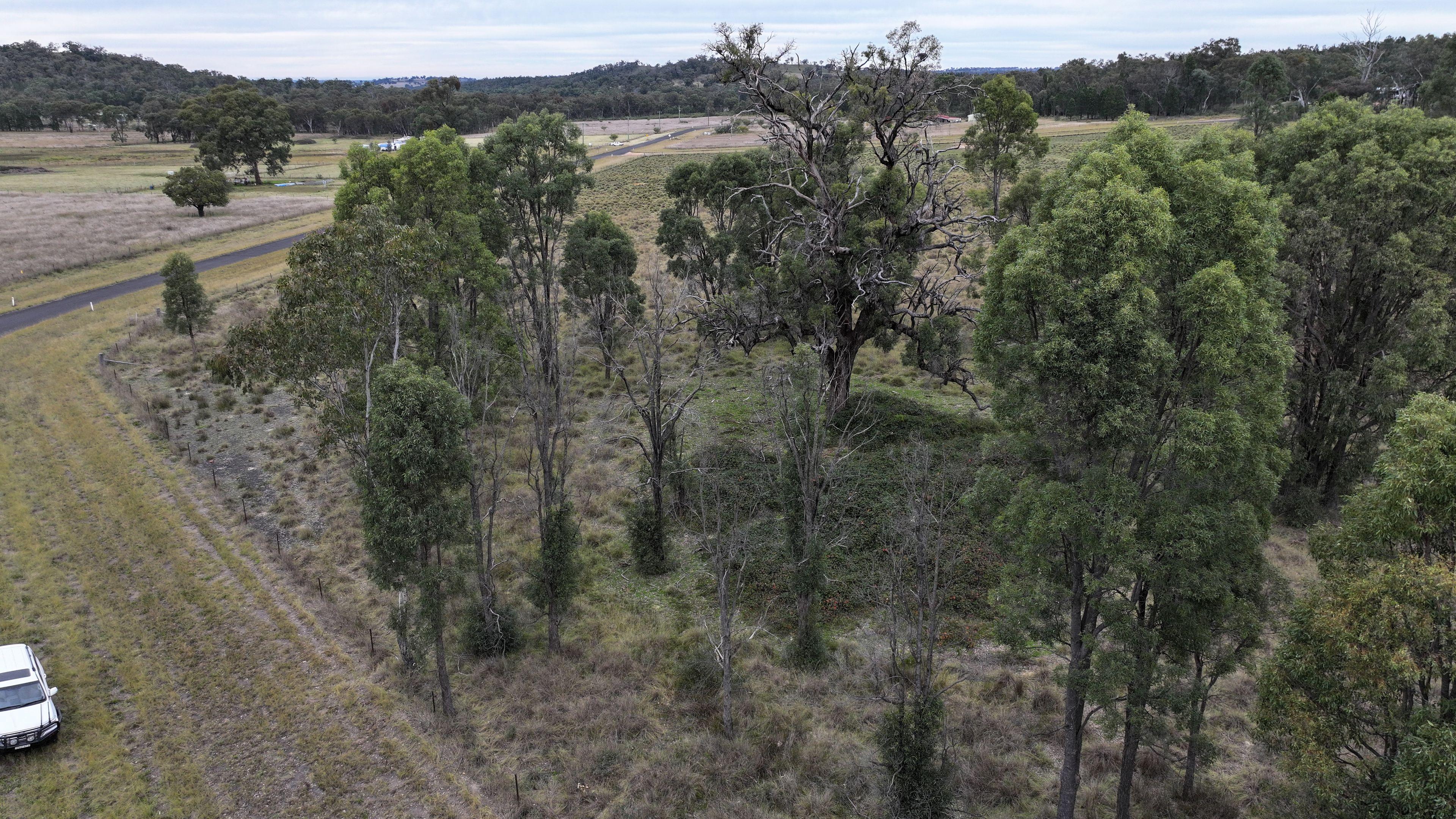Land for Sale: Coonabarabran, NSW 2357, NSW, 2357