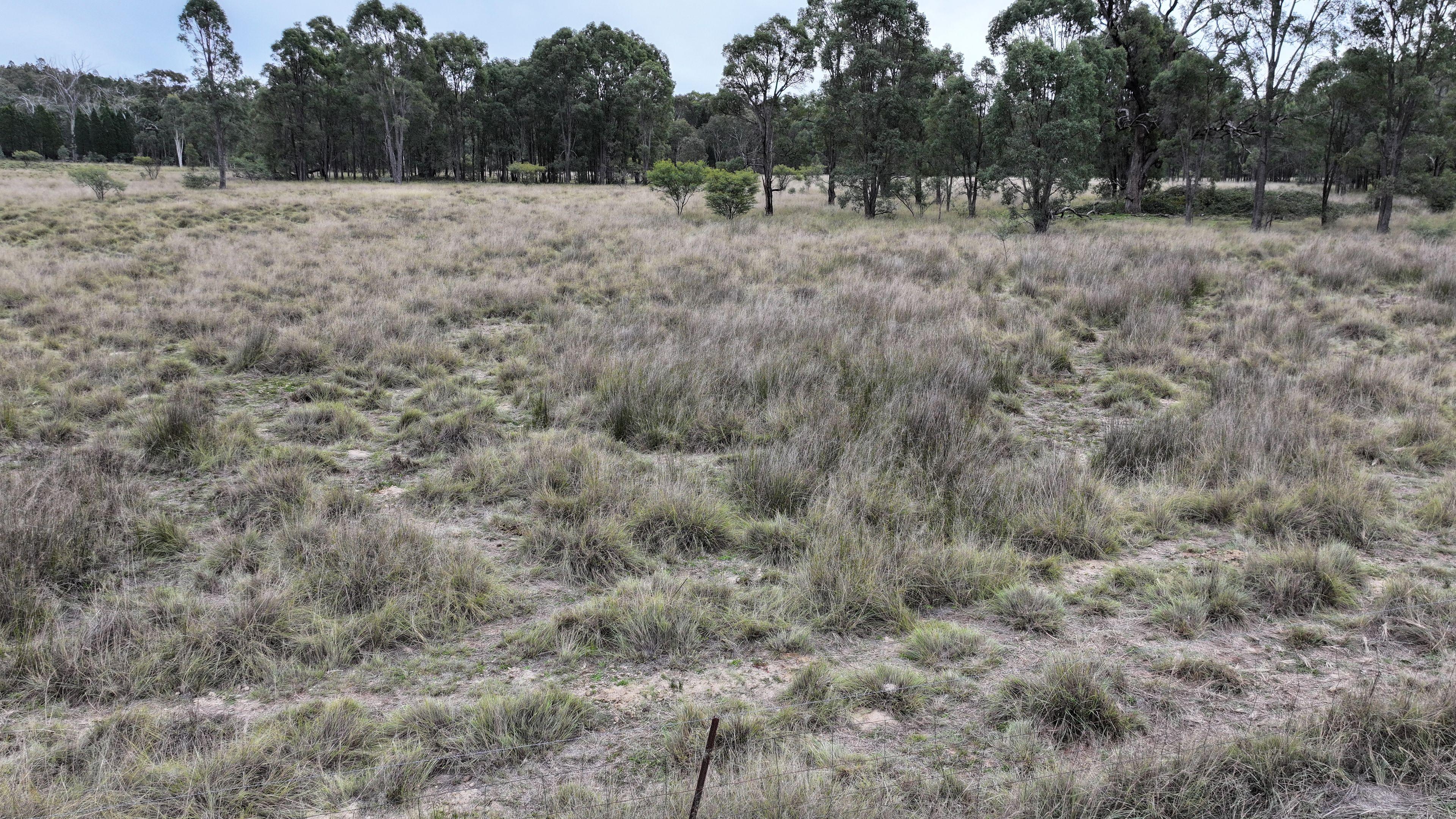 Land for Sale: Coonabarabran, NSW 2357, NSW, 2357