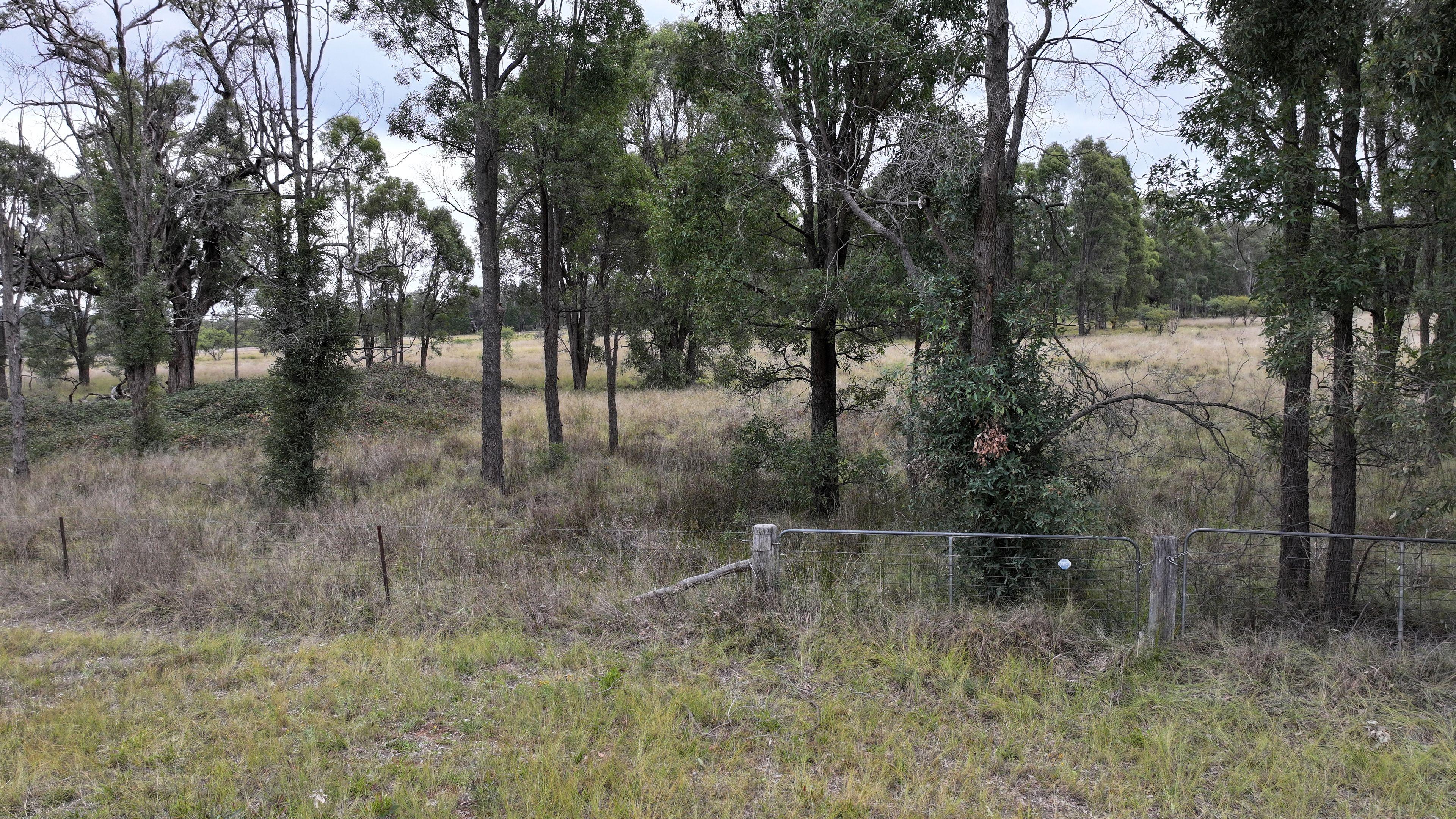 Land for Sale: Coonabarabran, NSW 2357, NSW, 2357