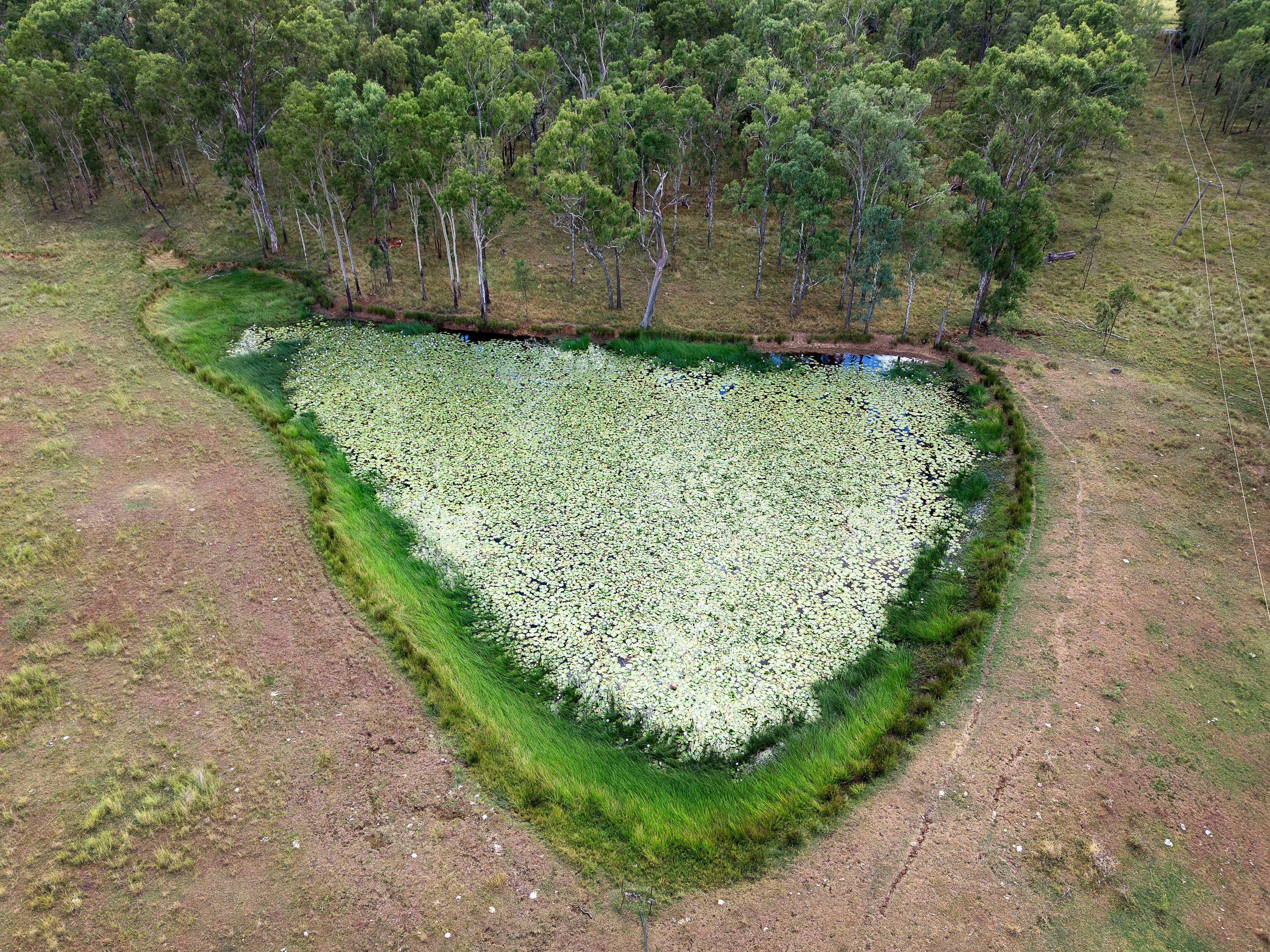 Lifestyle for Sale: Mutdapilly, QLD 4307, QLD, 4307