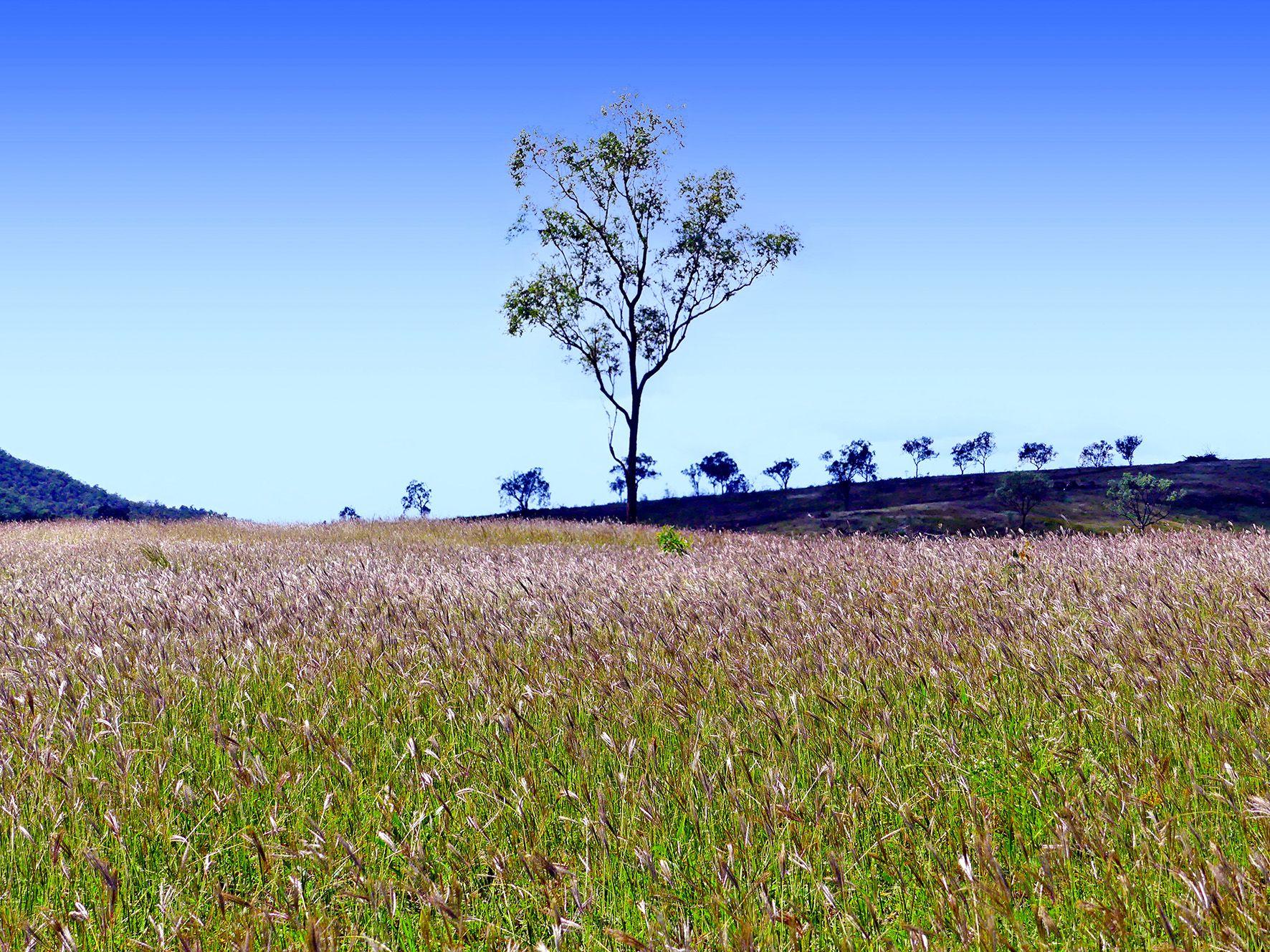 Other for Sale: Westwood, QLD 4702, QLD, 4702
