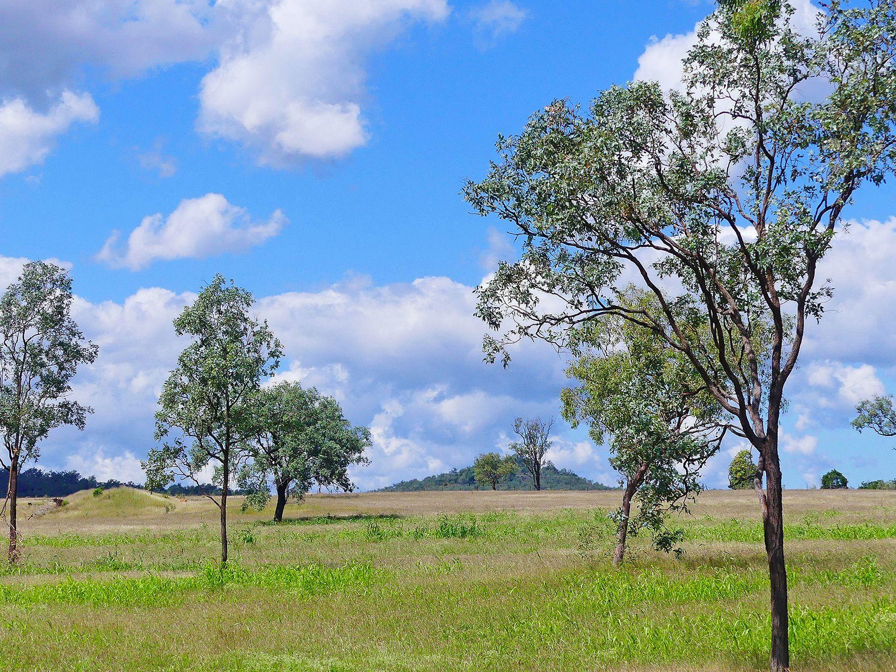 Other for Sale: Westwood, QLD 4702, QLD, 4702