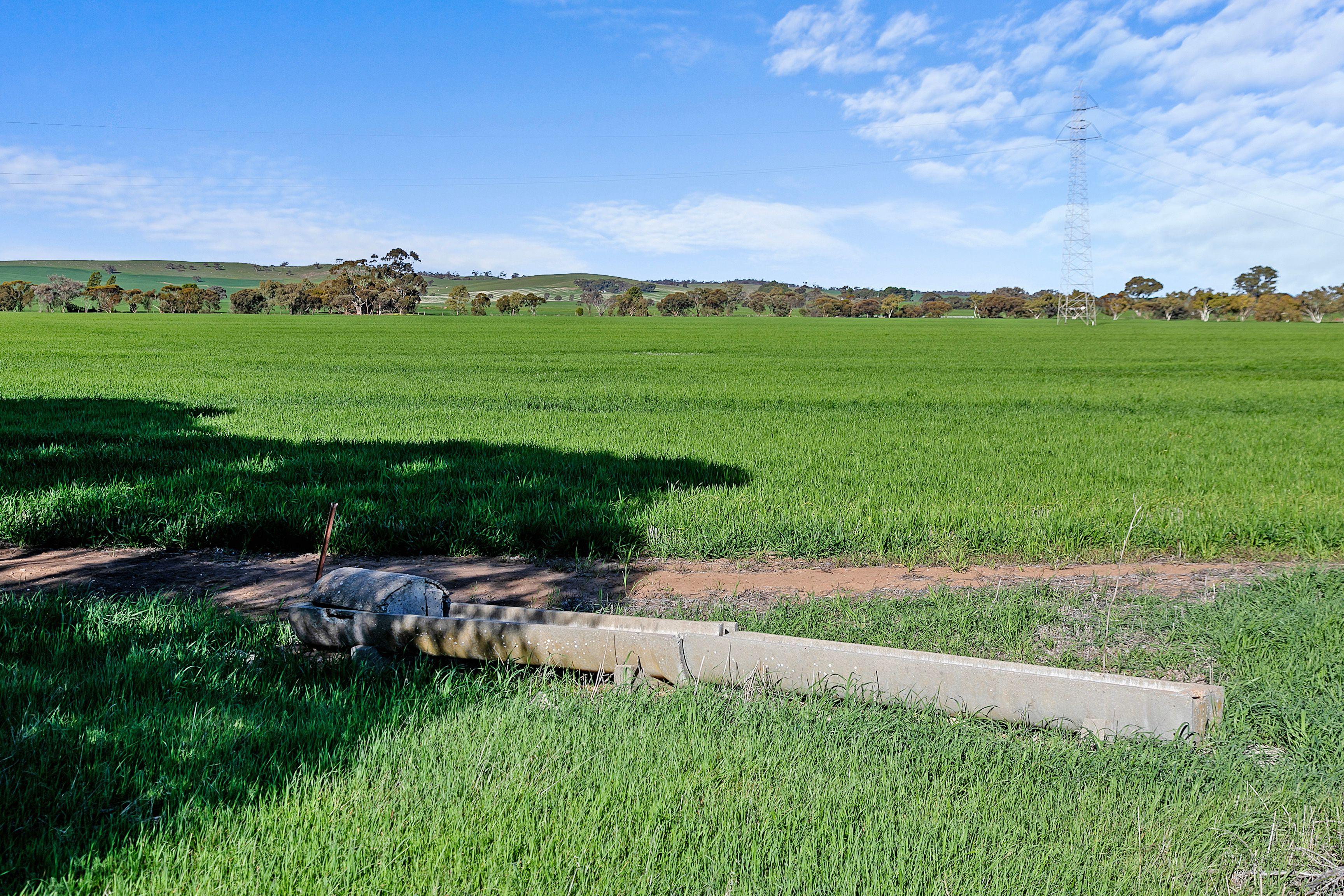 Cropping for Sale: Alma, SA 5401, SA, 5401