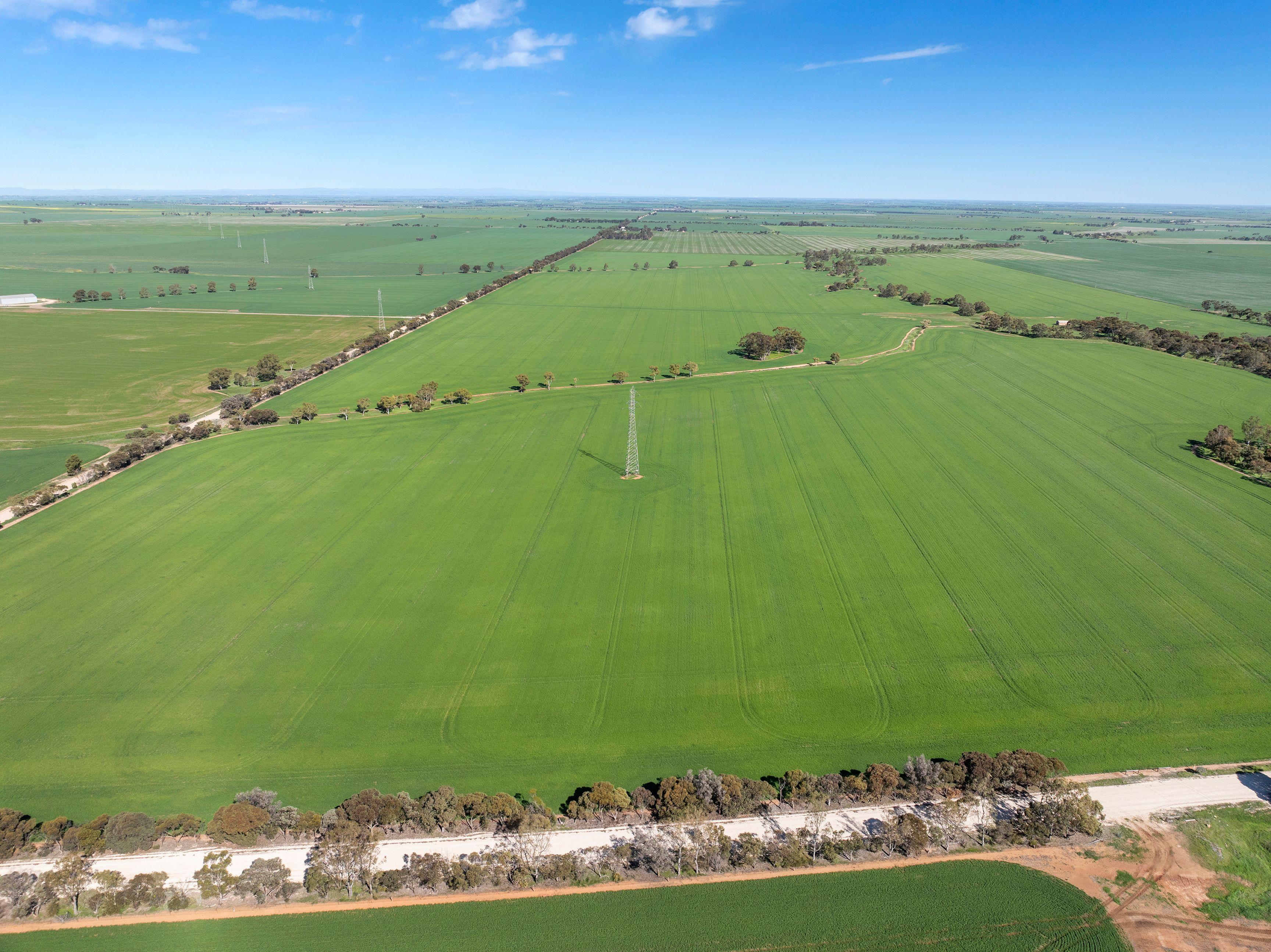 Cropping for Sale: Alma, SA 5401, SA, 5401