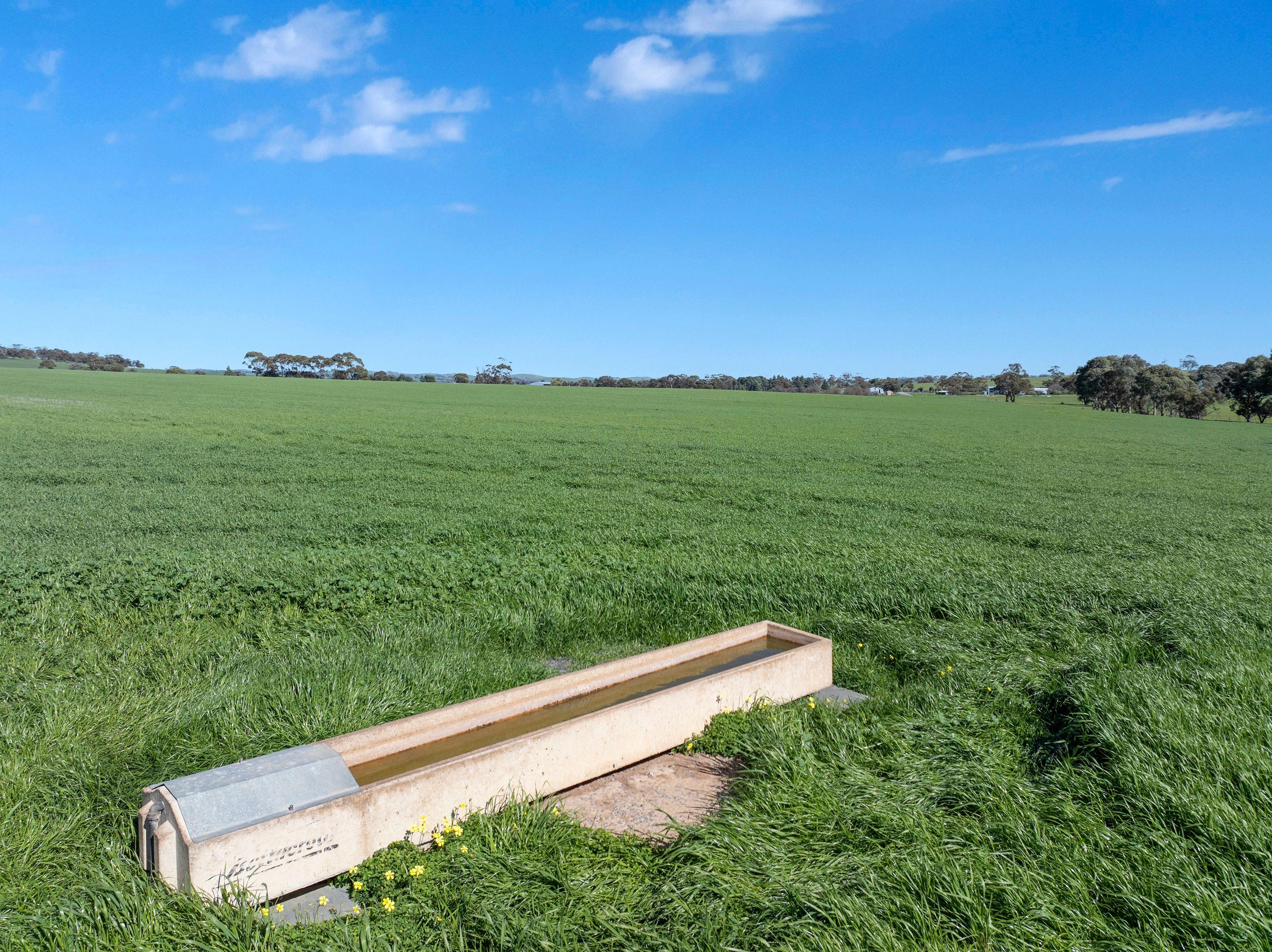 Cropping for Sale: Riverton, SA 5412, SA, 5412