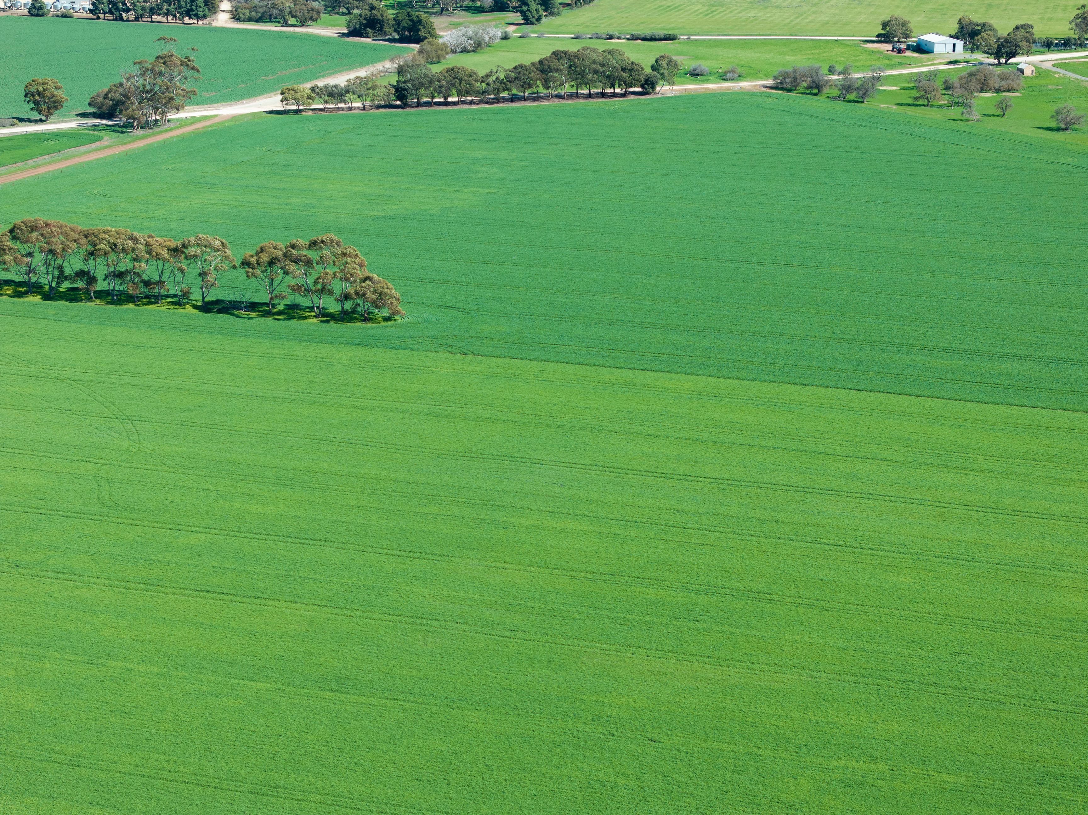 Cropping for Sale: Riverton, SA 5412, SA, 5412
