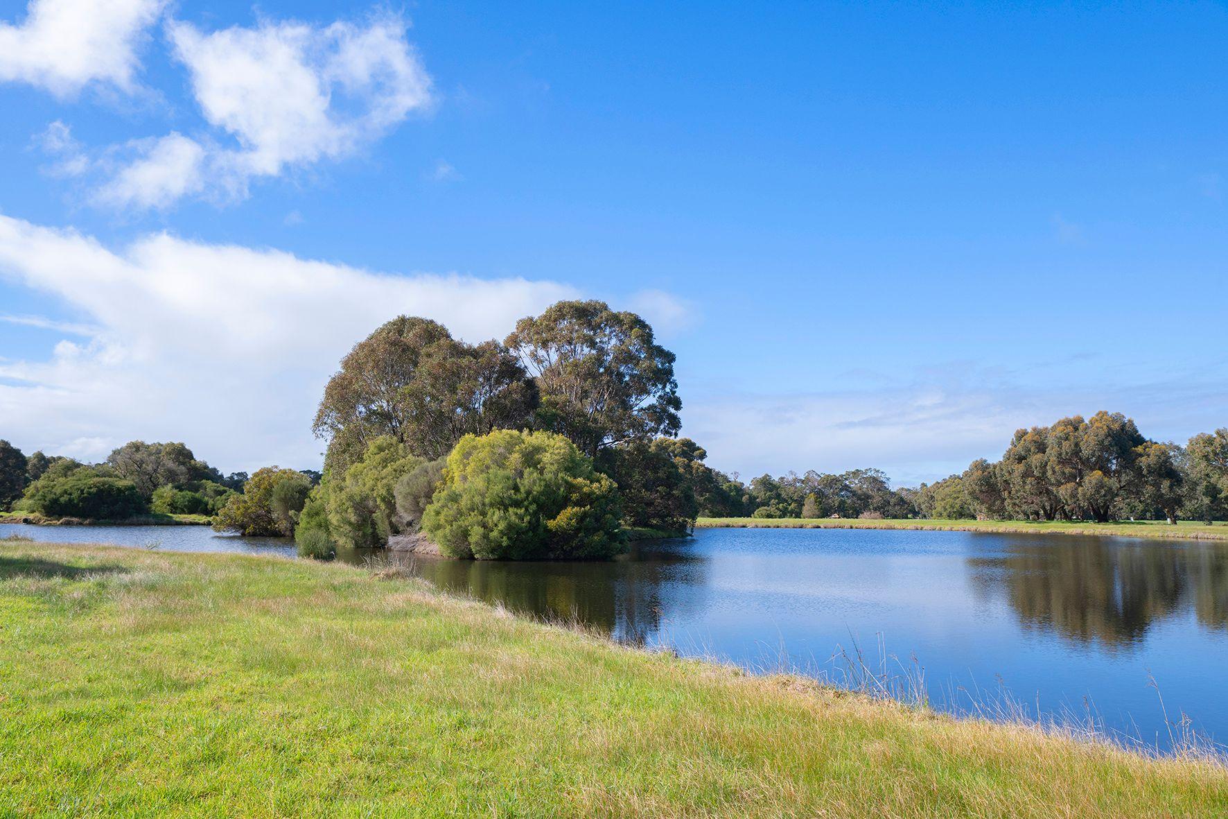 Land for Sale: Wilyabrup, WA 6280, WA, 6280