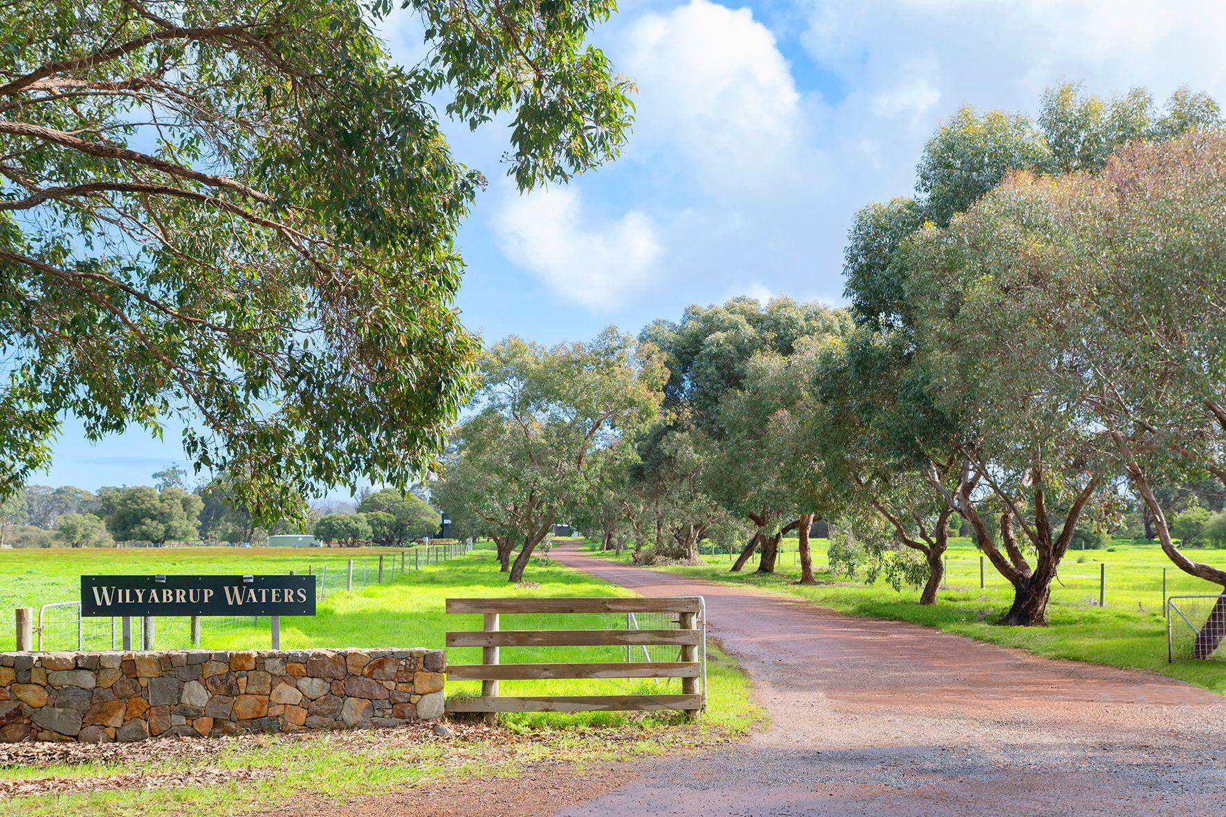 Land for Sale: Wilyabrup, WA 6280, WA, 6280