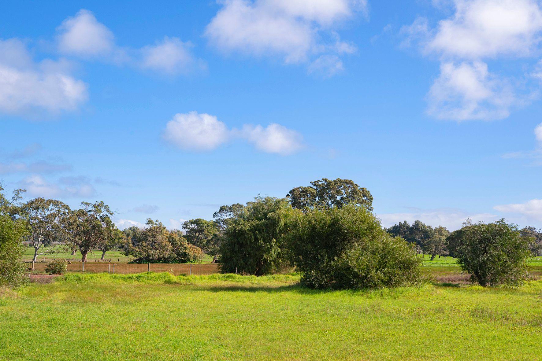 Land for Sale: Wilyabrup, WA 6280, WA, 6280
