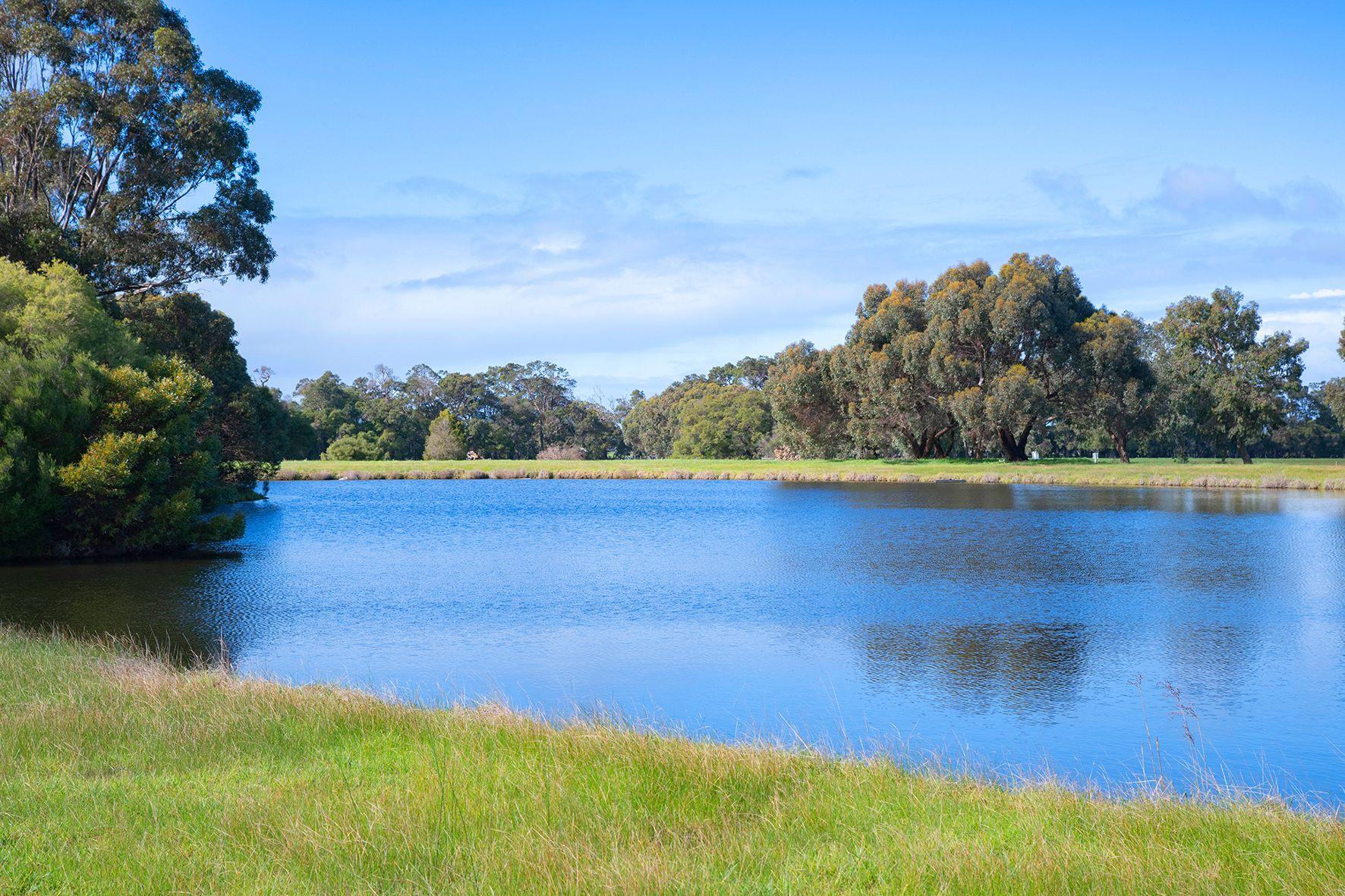 Land for Sale: Wilyabrup, WA 6280, WA, 6280
