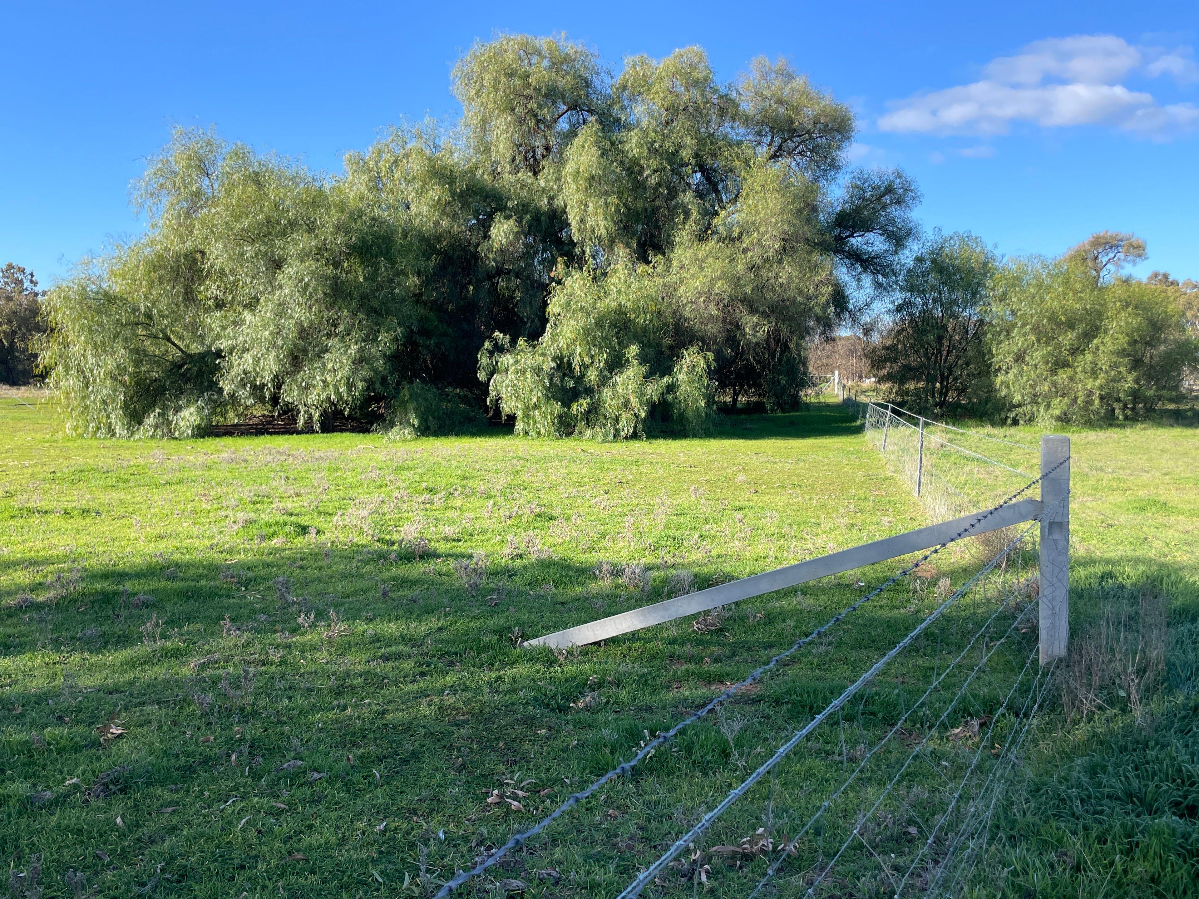 Mixed Farming for Sale: Wakool, NSW 2710, NSW, 2710